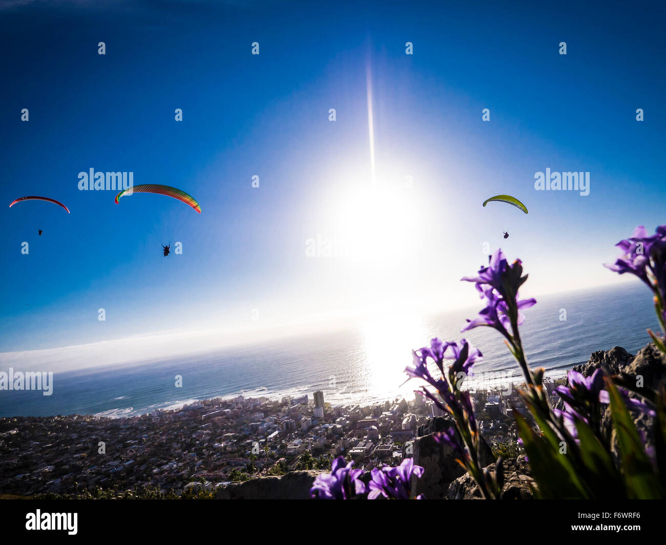 Parapendio a Signal Hill, Cape Town, Western Cape, Sud Africa Foto Stock