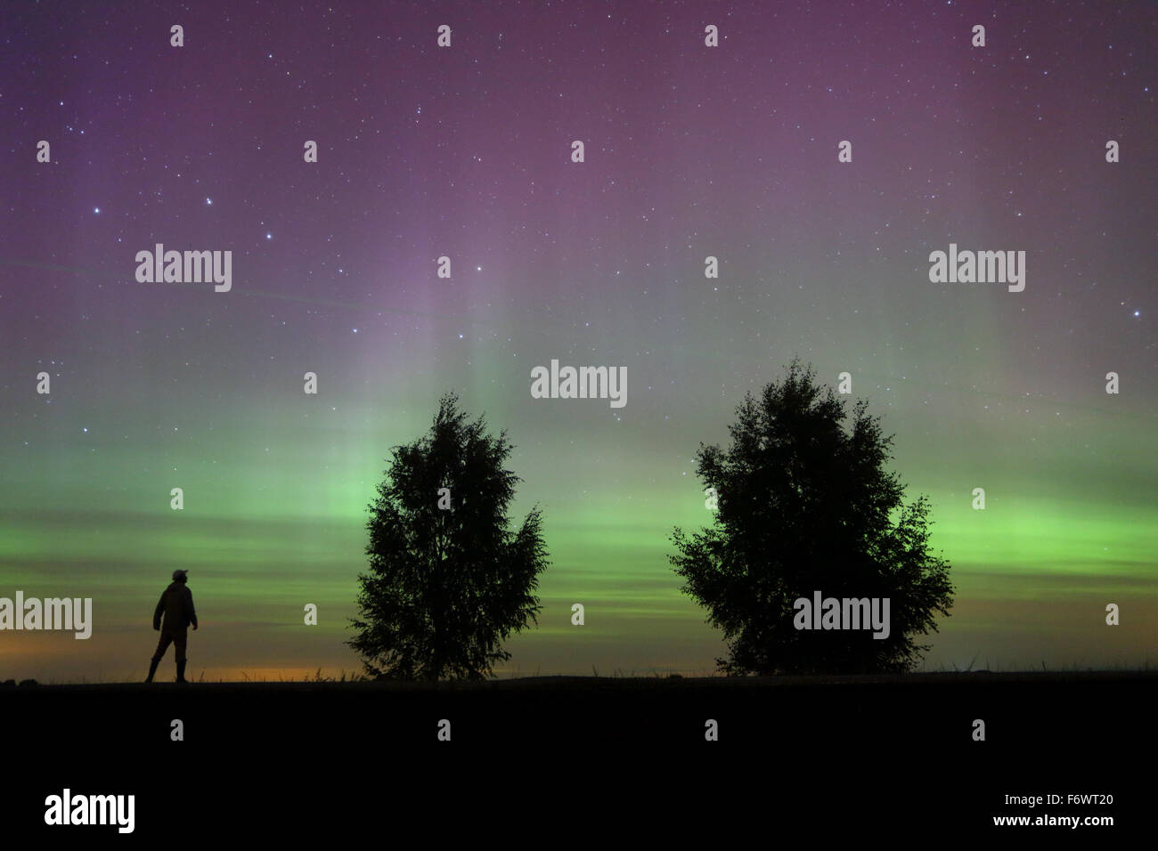 L'uomo guarda la Northern lights (Aurora Boreale) in Europa, Estonia Foto Stock
