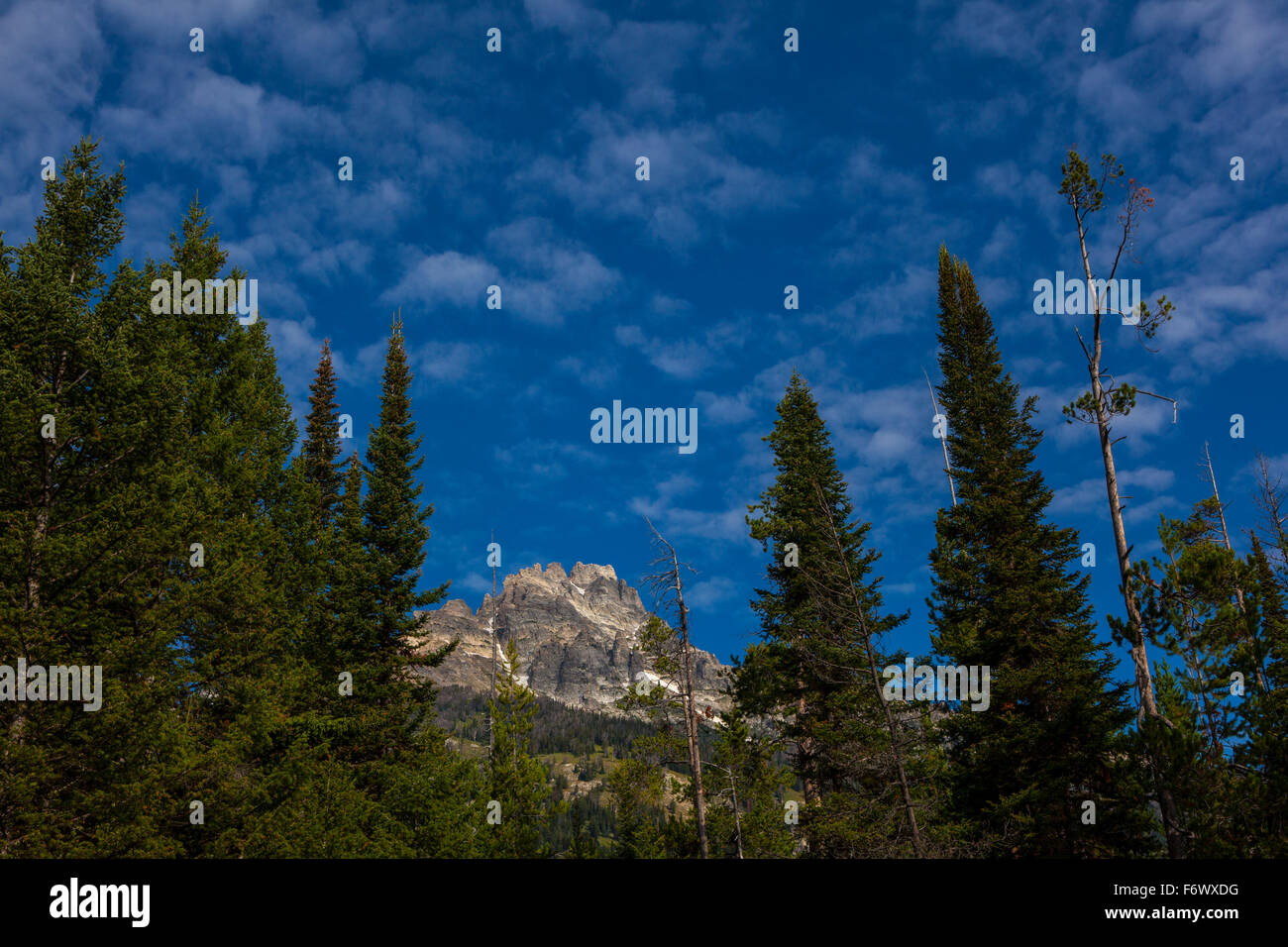 Il 3758m alta montagna Teewinot, Grand Teton National Park, Wyoming Foto Stock