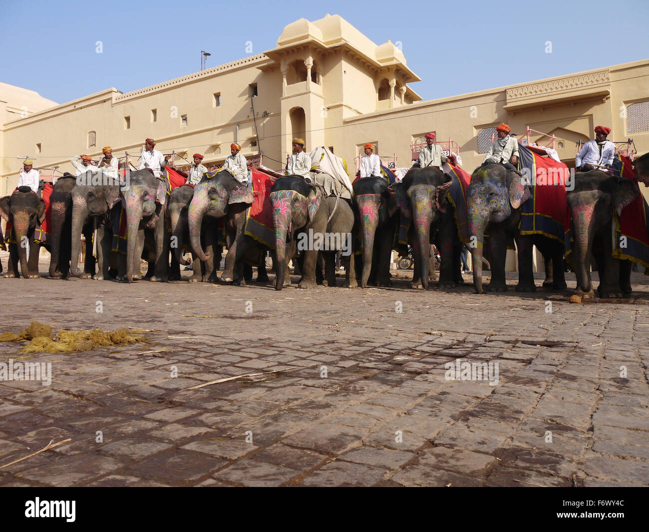 Line-up di elefanti ed i loro mahouts. Il Forte Amer/ Amber Fort Jaipur Foto Stock