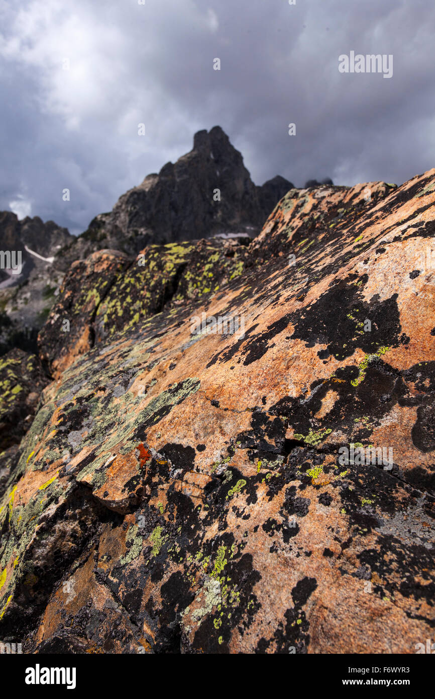 Licheni sulla roccia, vicino Anfiteatro Lago e Nez Perce picco, Grand Teton National Park Foto Stock