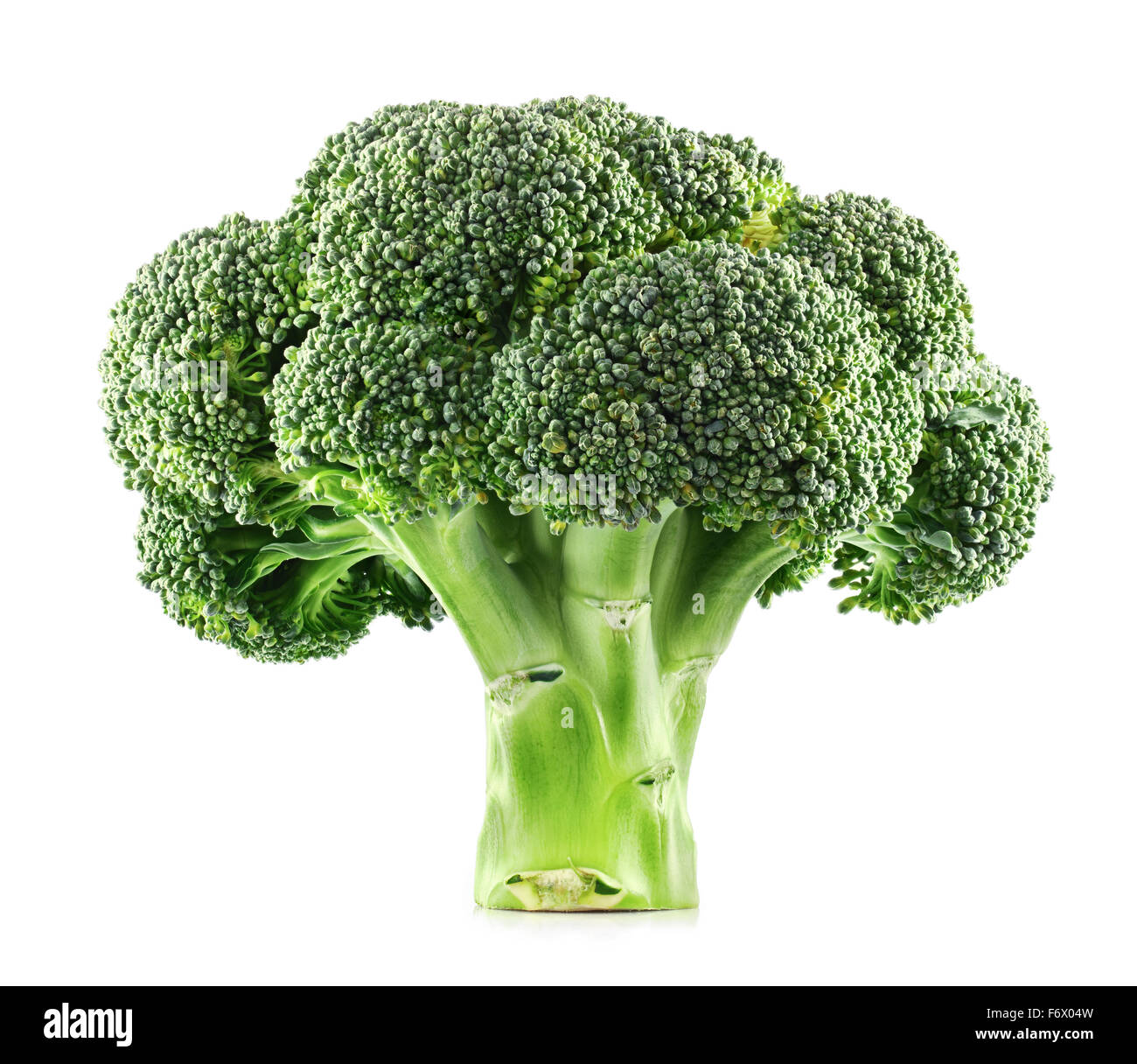 Broccoli freschi isolato su uno sfondo bianco. Foto Stock