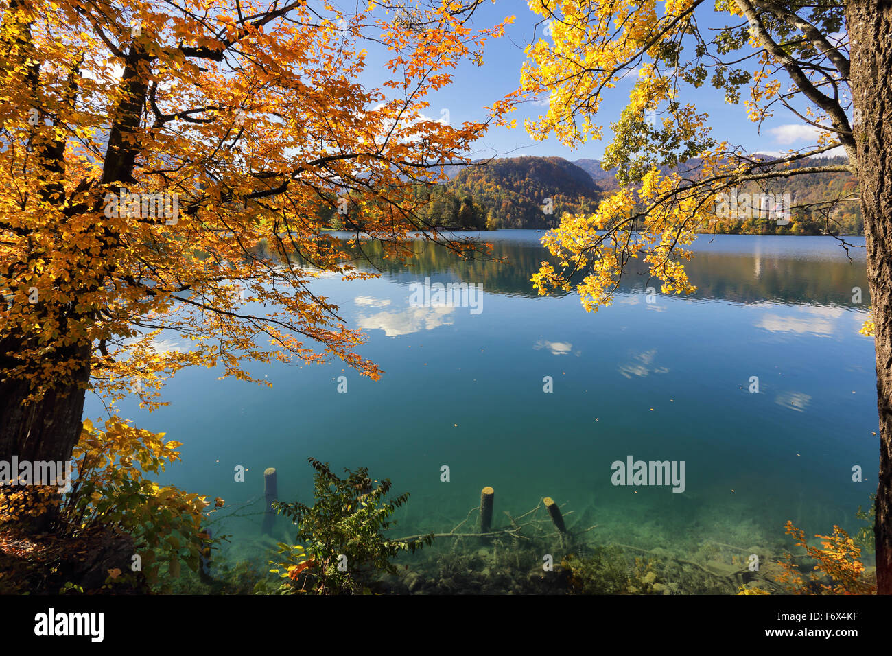 Soleggiata giornata autunnale sul lago di Bled in Slovenia con arancia e foglie d'oro sugli alberi, cielo blu e acque turchesi Foto Stock