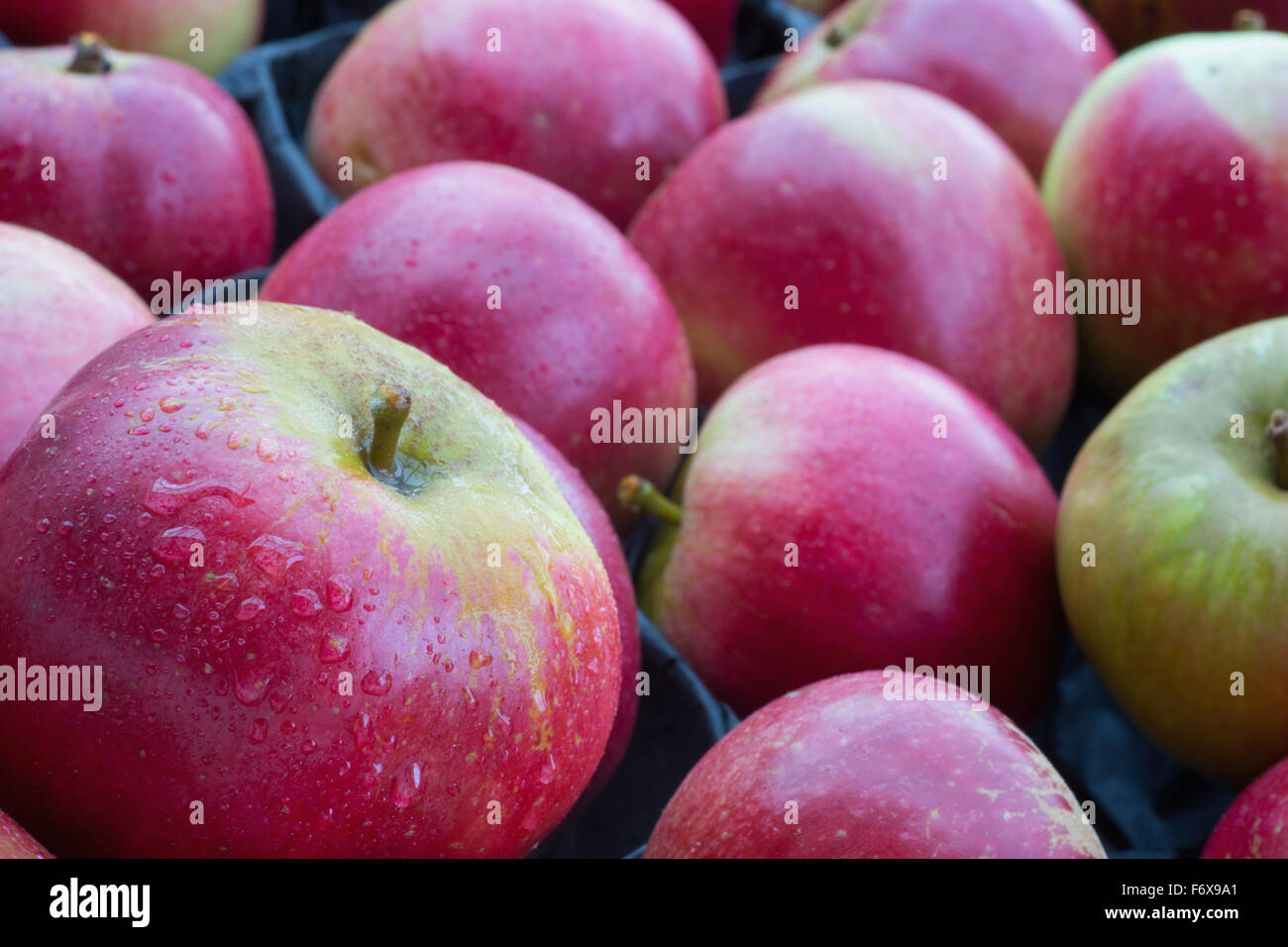 Mele rosse mature Foto Stock