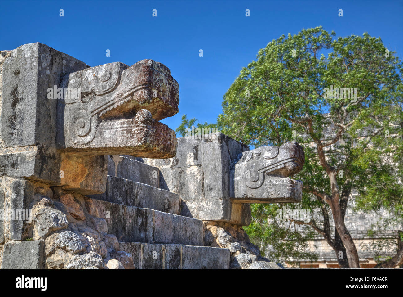 Piattaforma di aquile e giaguari, Chichen Itza; Yucatan, Messico Foto Stock