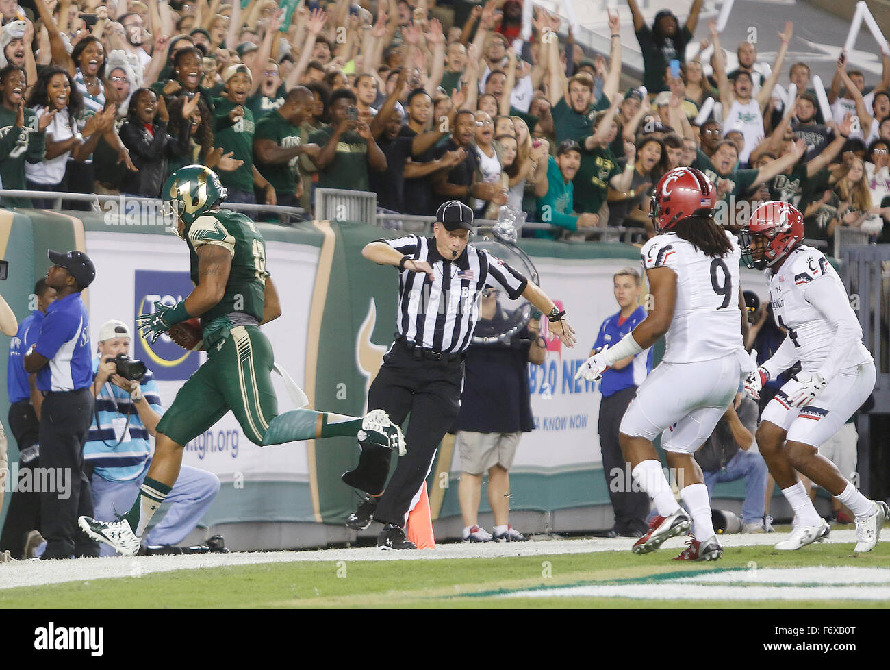 Città, Florida, Stati Uniti d'America. Xx Nov, 2015. OCTAVIO JONES | Orari .South Florida tori stretto fine Sean prezzo (12) punteggi un touchdown contro Cincinnati Bearcats difesa nel primo trimestre a Raymond James Stadium di Tampa Venerdì 20 Novembre, 2015. Credito: Octavio Jones/Tampa Bay volte/ZUMA filo/Alamy Live News Foto Stock