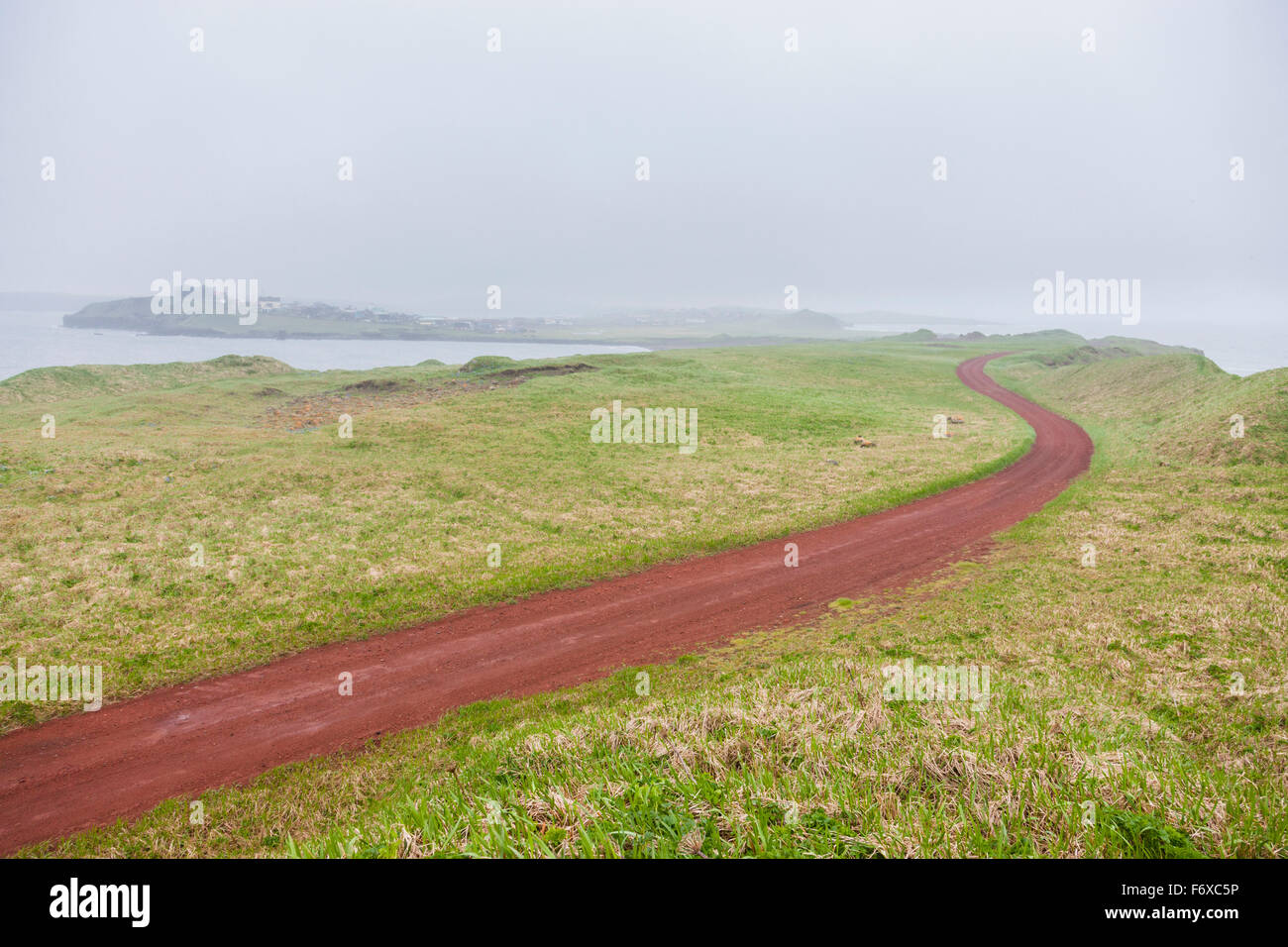 Vista panoramica di un rosso su strada sterrata circondata dalla tundra con la nebbia avvolta sul Mar di Bering in background, Isola di San Paolo, Southwestern Alaska, estate Foto Stock