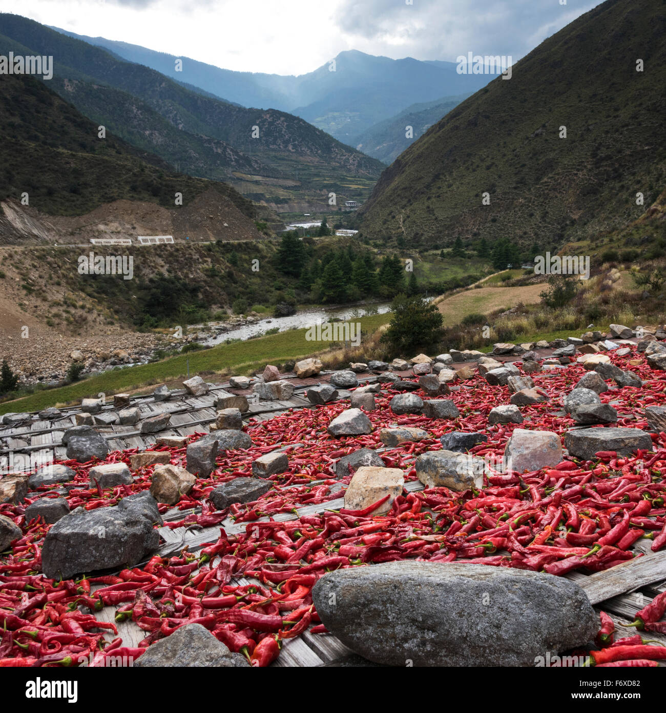 Peperoni rossi steso a secco ; Thimphu Bhutan Foto Stock