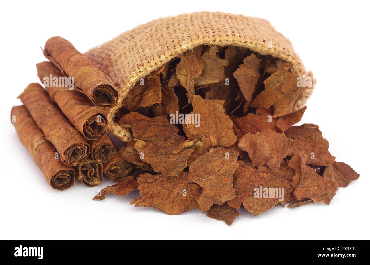 Asciugare le foglie di tabacco nel sacco su sfondo bianco Foto Stock