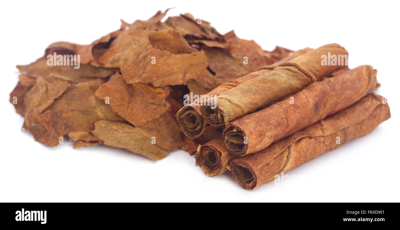 Asciugare le foglie di tabacco su sfondo bianco Foto Stock