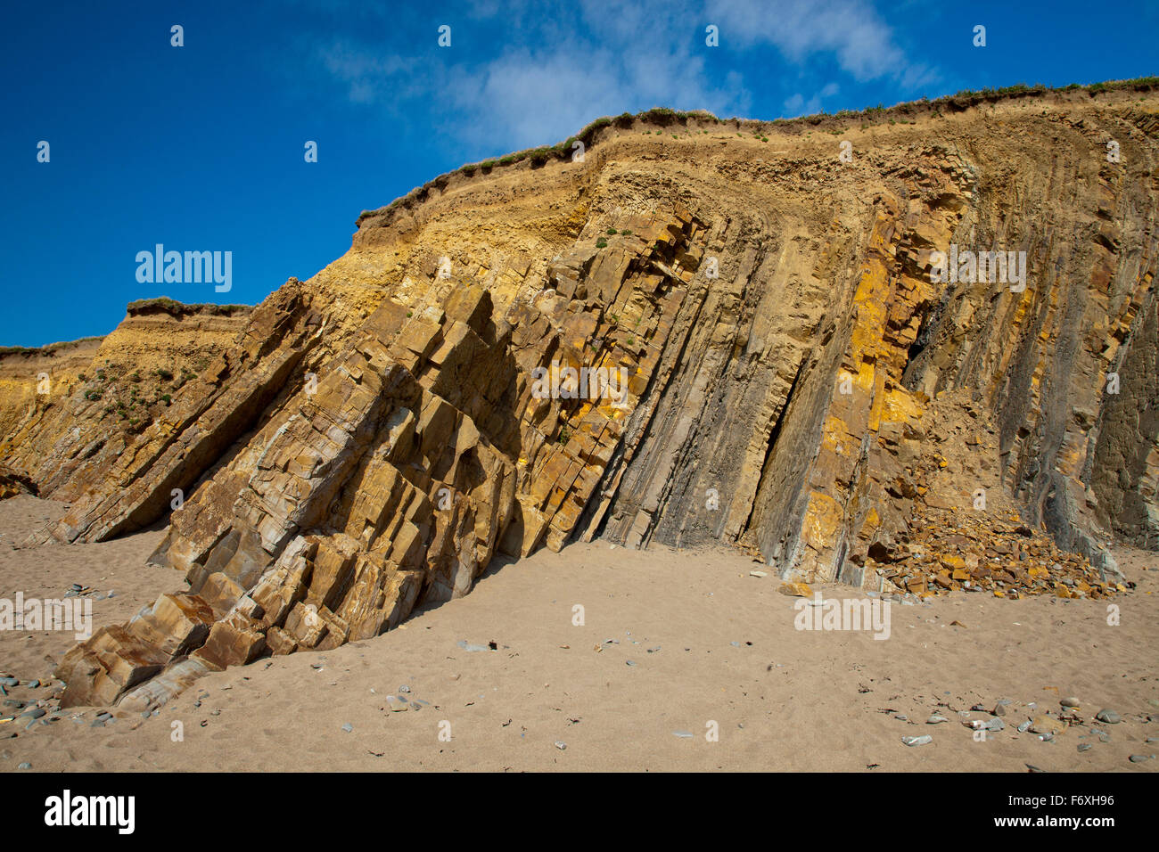 Il distintivo e verticale ripiegato Bude strati di pietra arenaria a Widemouth Bay, Cornwall, England, Regno Unito Foto Stock