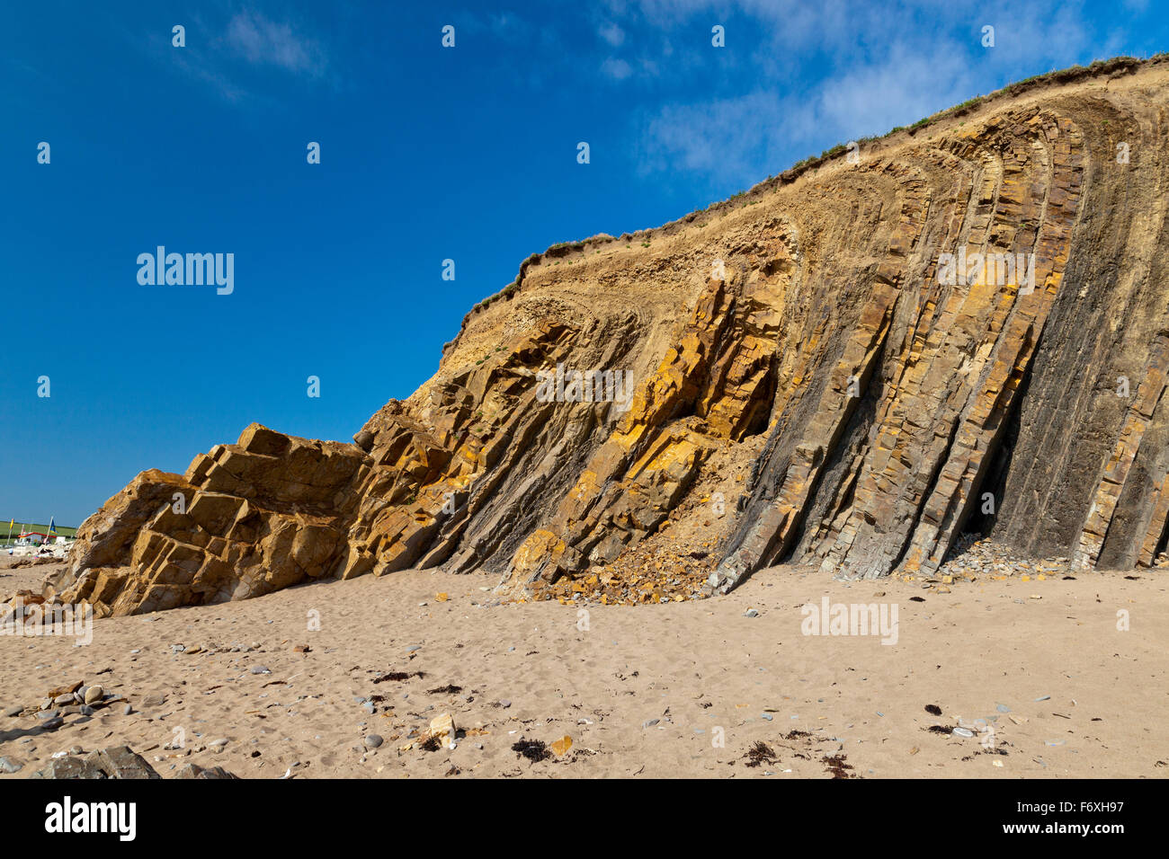 Il distintivo e verticale ripiegato Bude strati di pietra arenaria a Widemouth Bay, Cornwall, England, Regno Unito Foto Stock