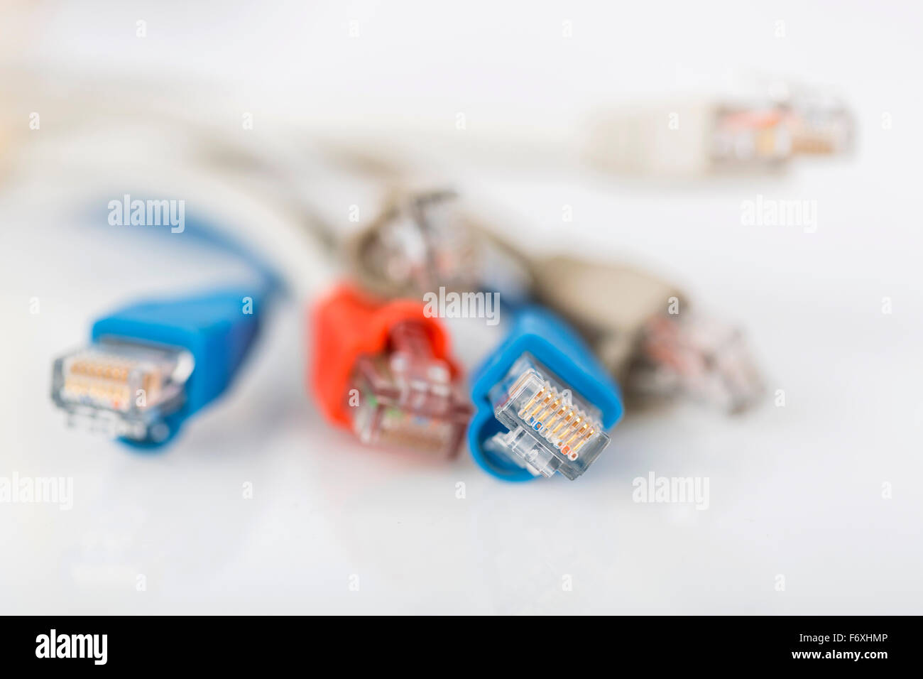 Colorate cavo di rete con connettori RJ45. Messa a fuoco selettiva. Foto Stock