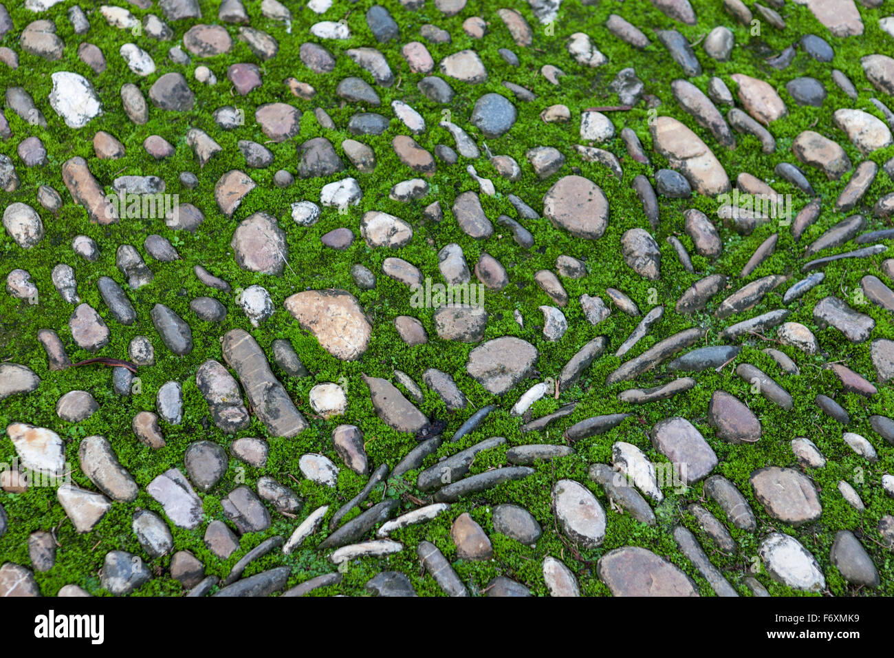 Mossy modellato pavimentazione in pietra vicino alla Mezquita di Cordova, Spagna Foto Stock