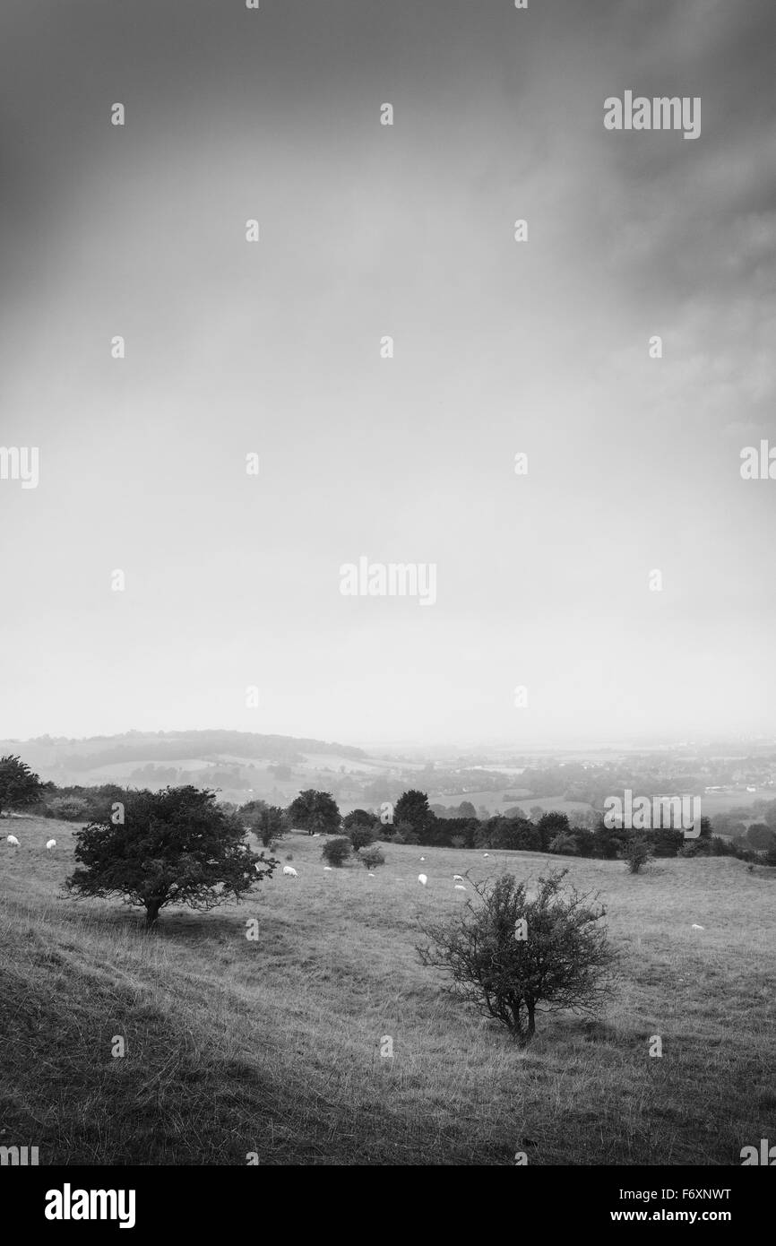Una vista panoramica della campagna inglese, Cotswold Foto Stock