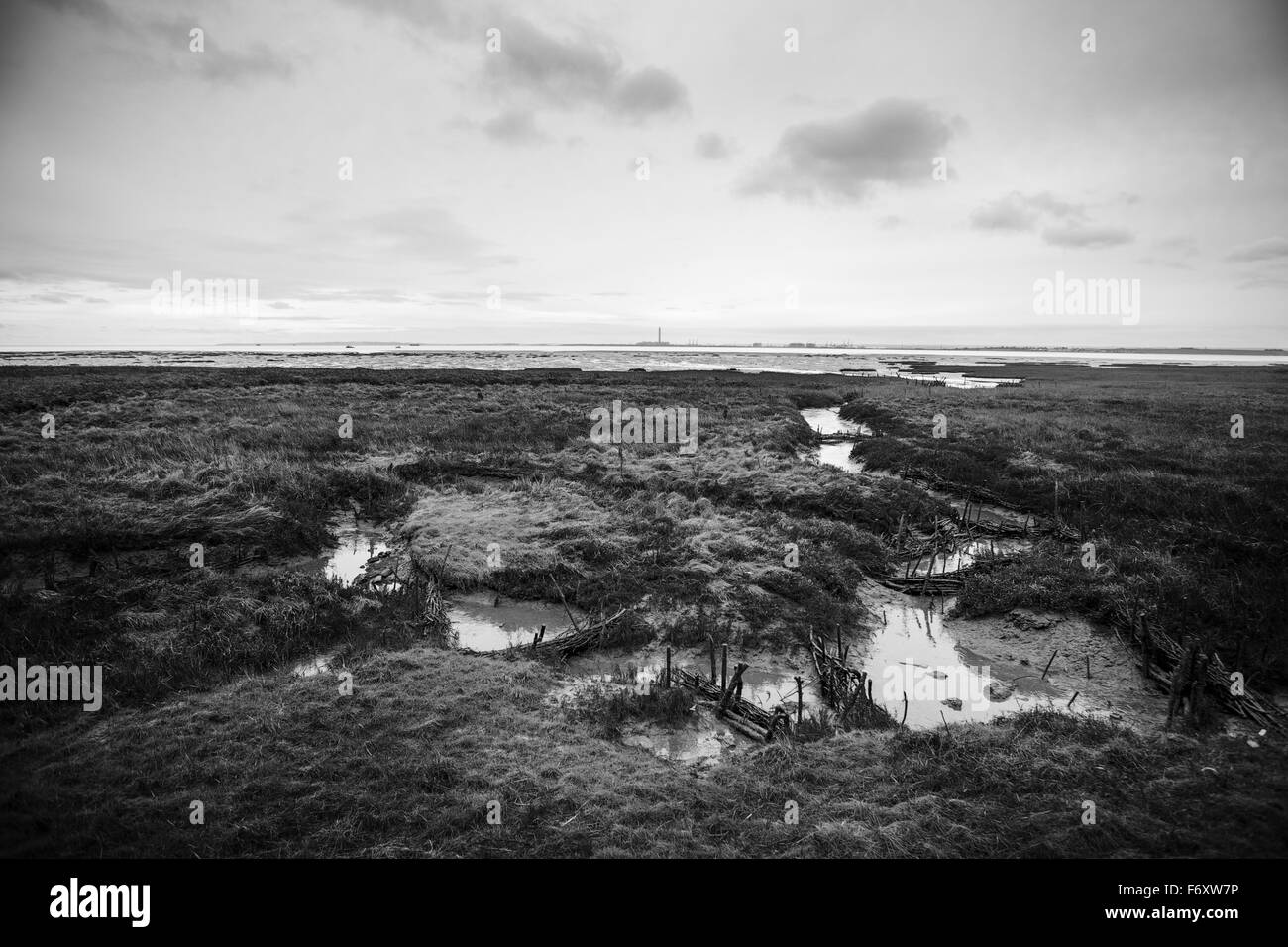 Scatti presi intorno a due Tree Island Foto Stock