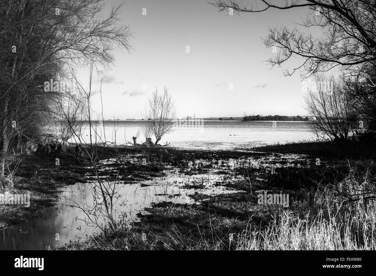 Immagine di panorama mostra oriente hanningfield serbatoio in Essex, Inghilterra Foto Stock