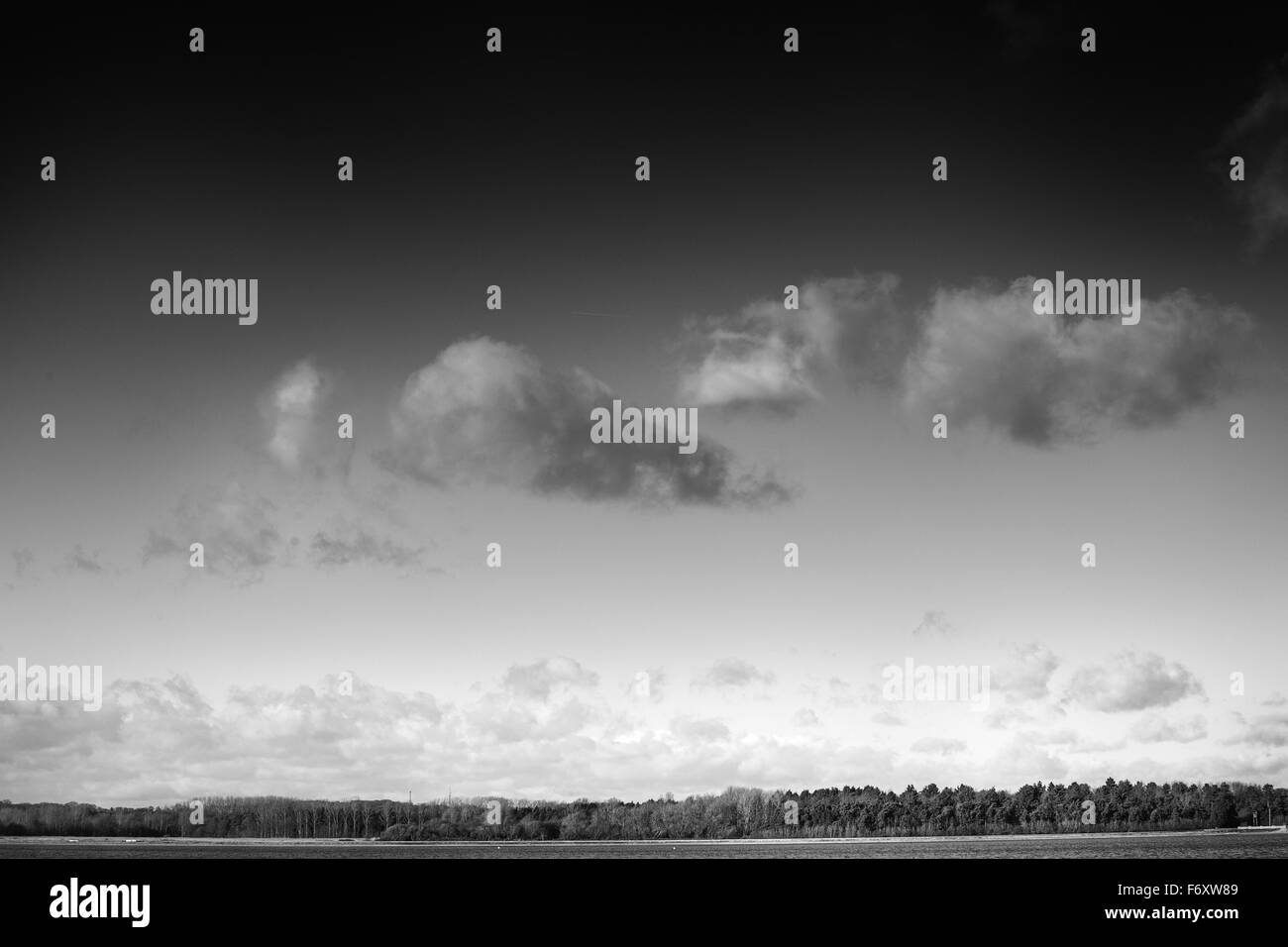 Immagine di panorama mostra oriente hanningfield serbatoio in Essex, Inghilterra Foto Stock