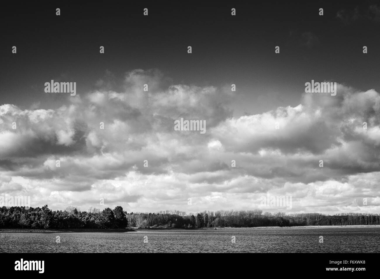 Immagine di panorama mostra oriente hanningfield serbatoio in Essex, Inghilterra Foto Stock