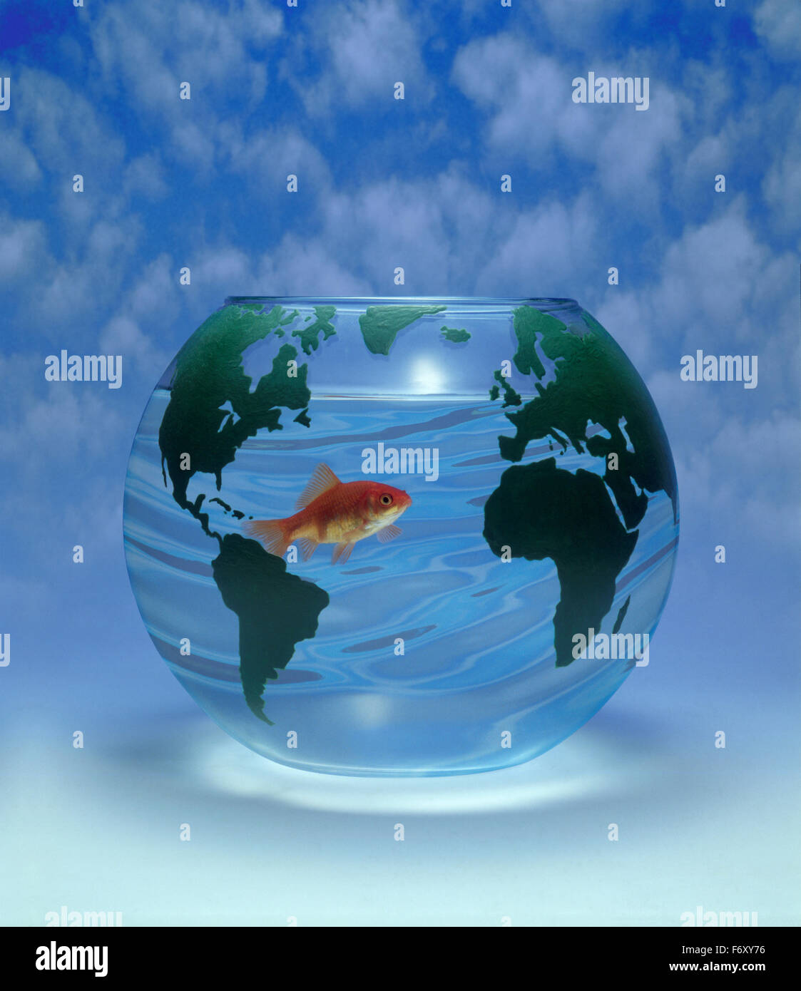 Goldfish in acqua chiara in una ciotola decorata con mappa del mondo per il riscaldamento globale e inquinamento Foto Stock