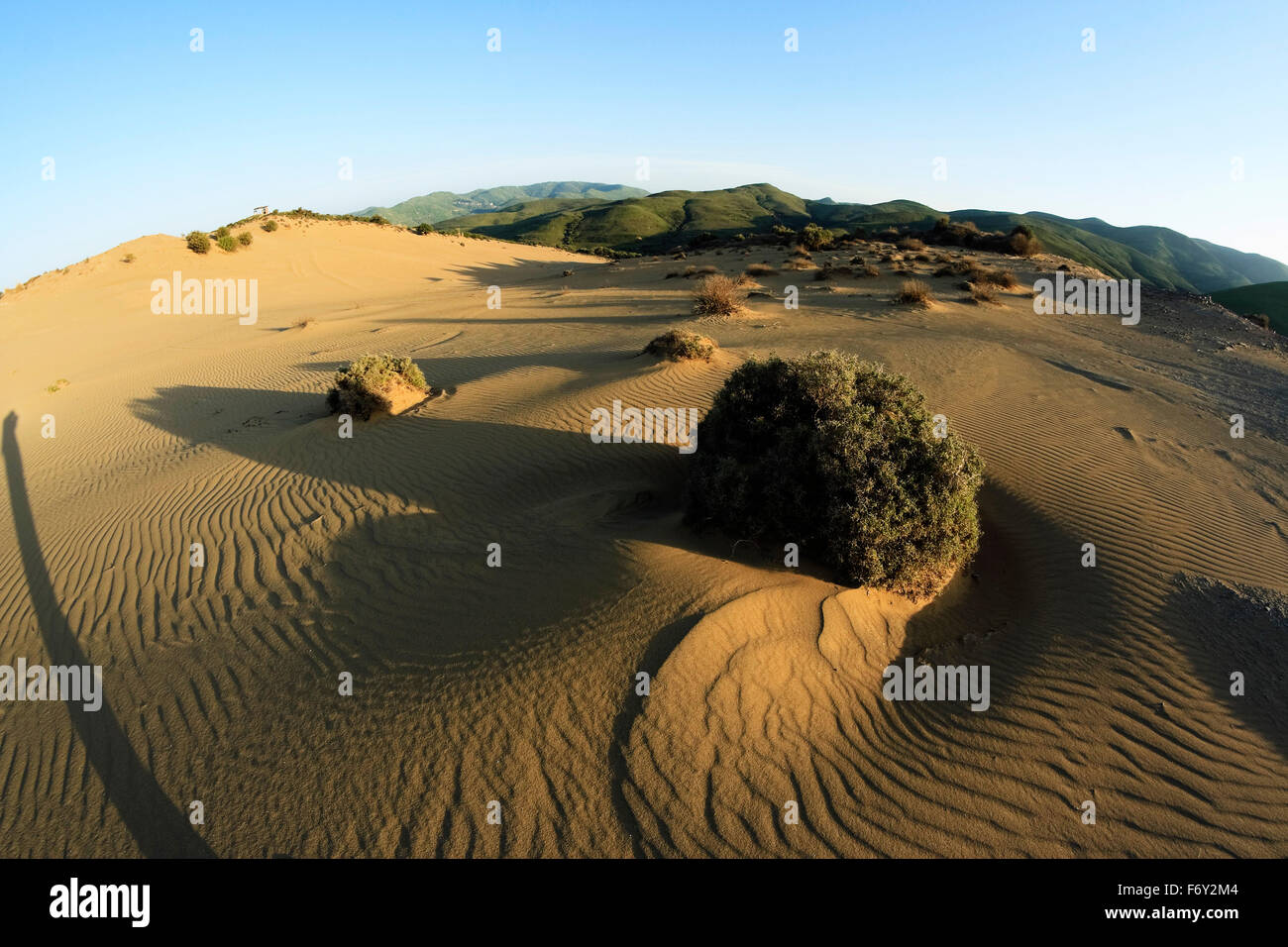Ampio angolo di visione di dune di sabbia ondeggia nell area Gomati cosiddetto 'Ammothines'. Villaggio Katalako, Lemnos o Limnos Island, Grecia Foto Stock