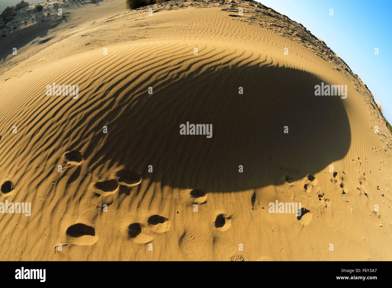 Groovy modelli di sabbia, le linee e le impronte in Gomati o 'Pachies Amdes' area. Villaggio Katalako, Lemnos o Limnos Island, Grecia Foto Stock
