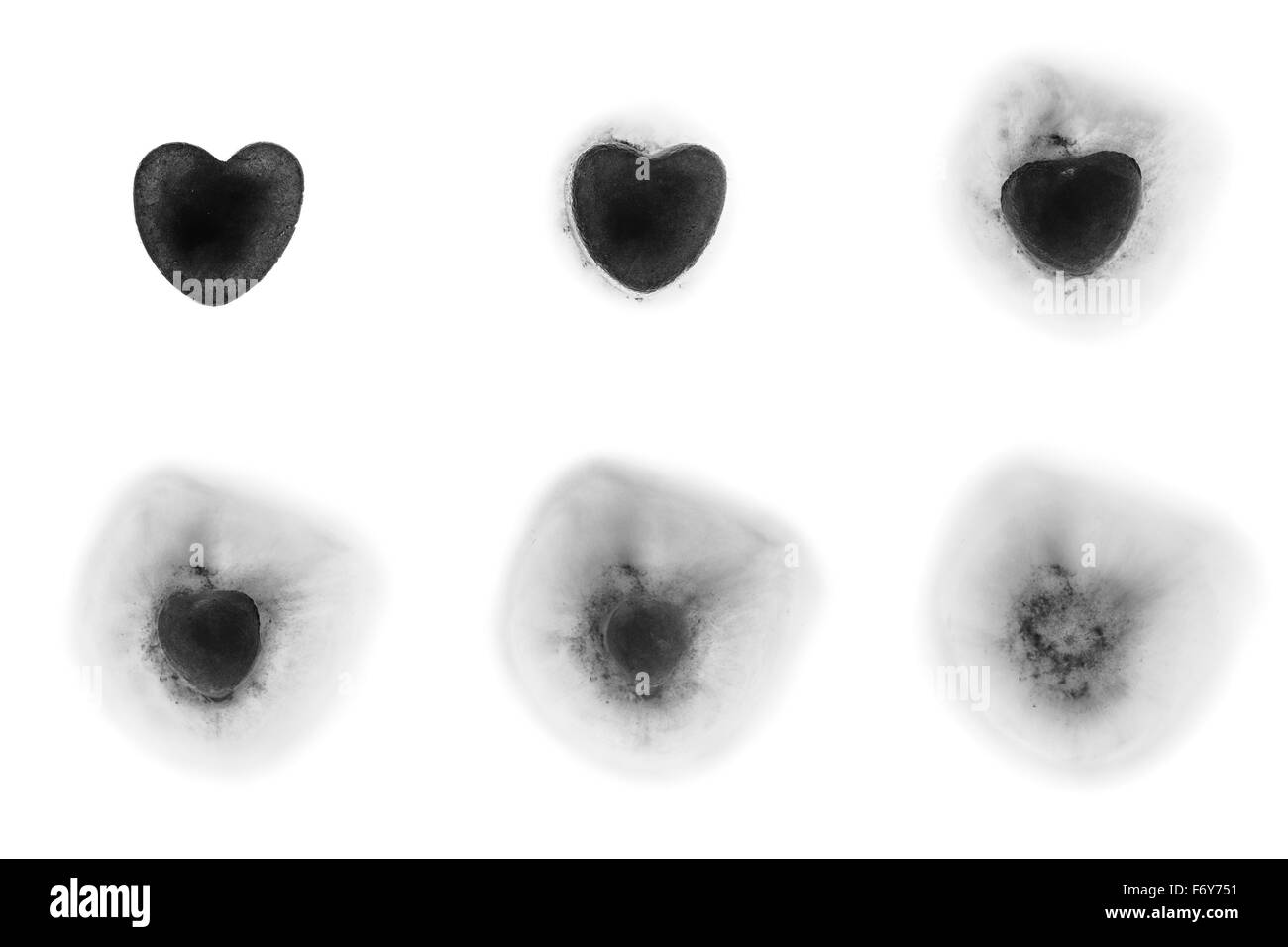 Tempo giri collage fotografico di un singolo rosso cubo lce nella forma di un amore di fusione termica nel tempo. Foto Stock