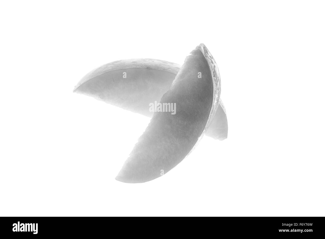 Pezzi di apple, tagliati fuori tiro su uno sfondo bianco illuminato dal basso Foto Stock