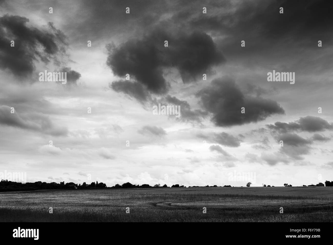 Shot presi su east mersea Island cercando attraverso un campo con un moody sky Foto Stock
