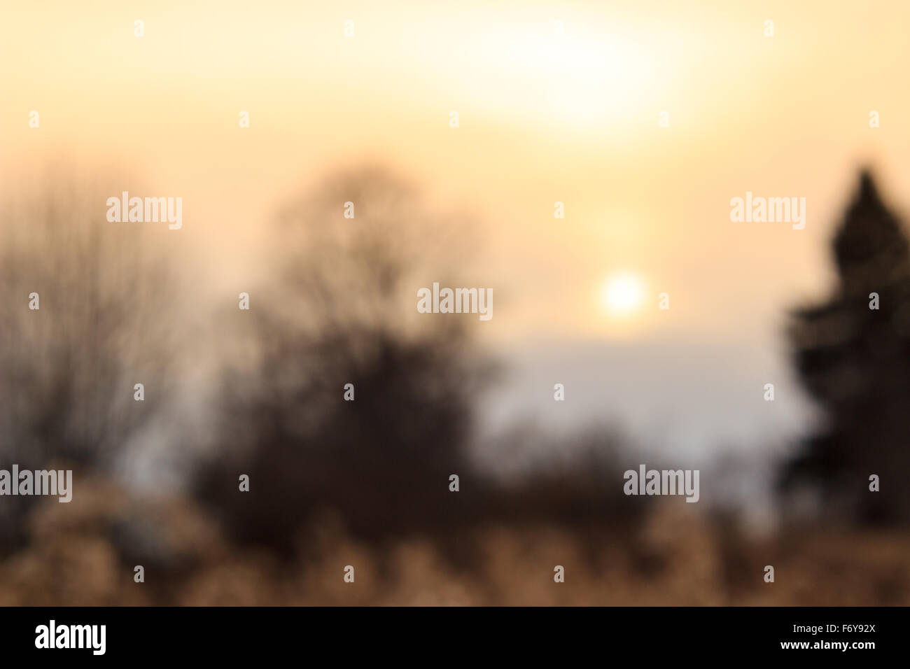 Sfondo Sfocato Con Lautunno Il Tramonto In Colori Caldi