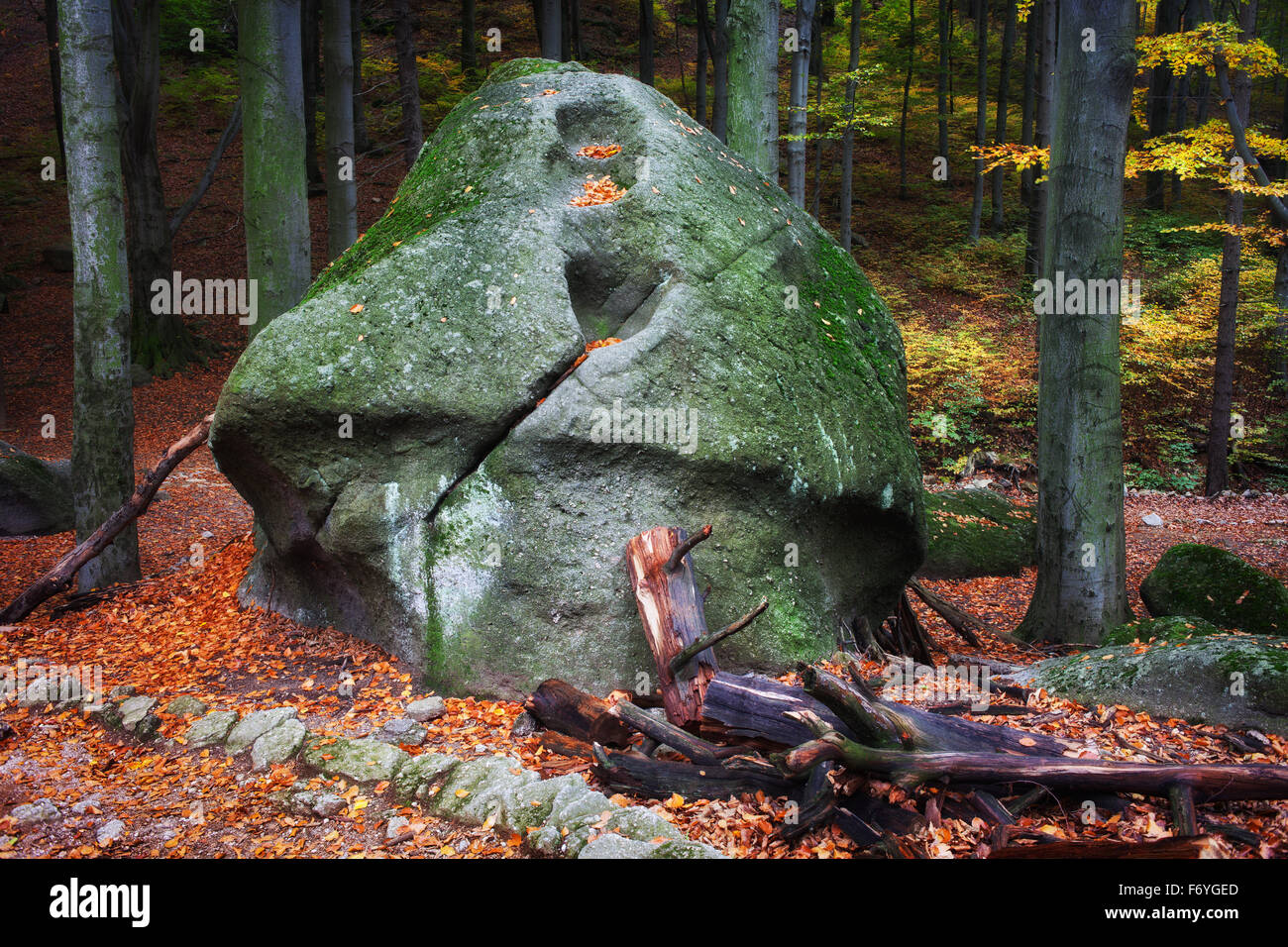 Curiosamente cercando, grande a forma di fungo rock in autunno foresta, monti Karkonosze, Polonia. Foto Stock