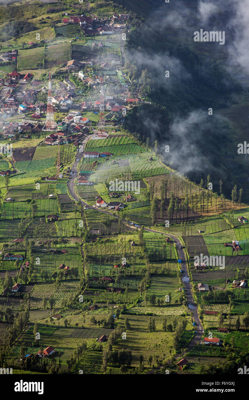 Highland Cemoro Lawang villaggio in bromo Tengger Semeru National Park, Java Orientale, Indonesia. Colpo verticale Foto Stock