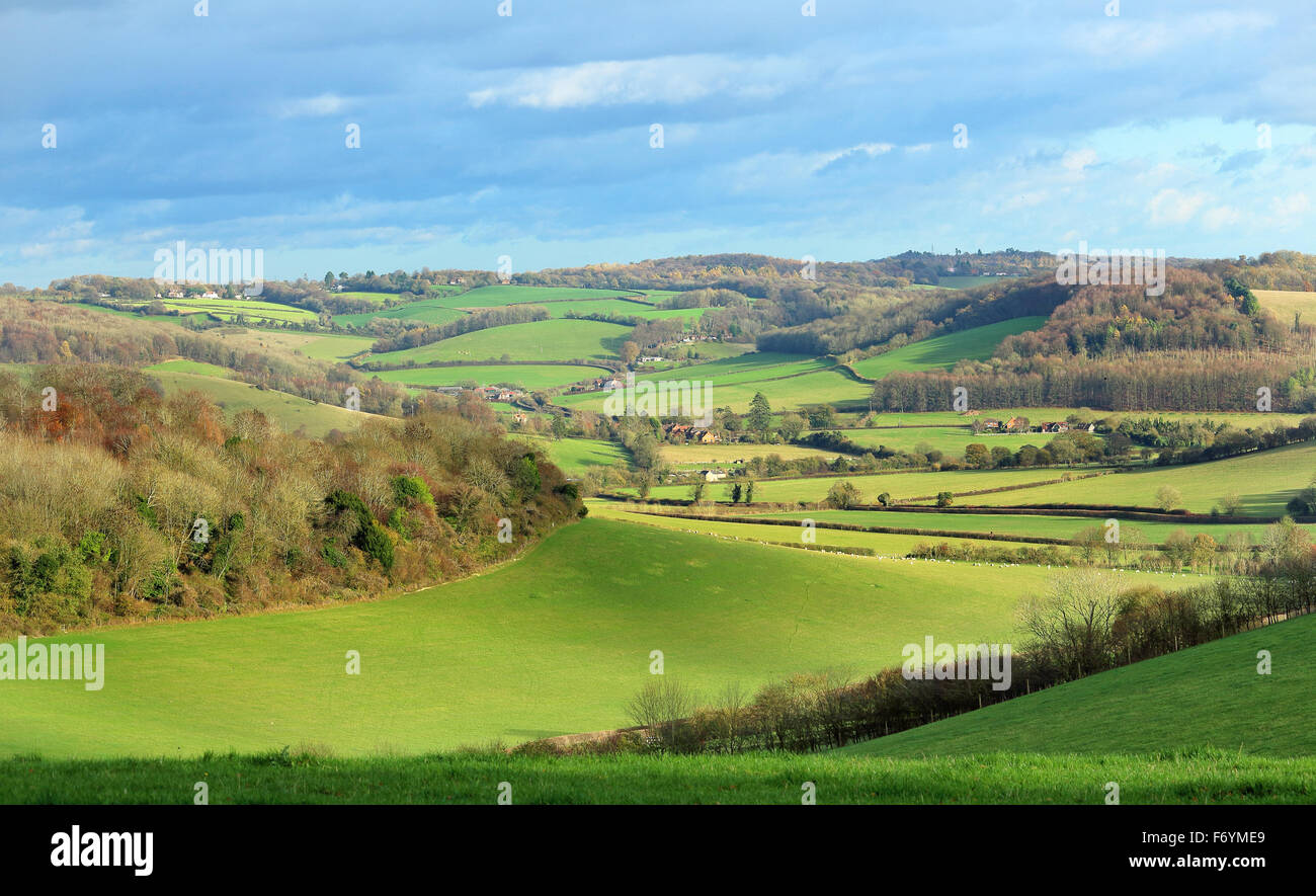 Un inglese un paesaggio rurale in The Chiltern Hills di inizio inverno con pecore al pascolo nella distanza Foto Stock
