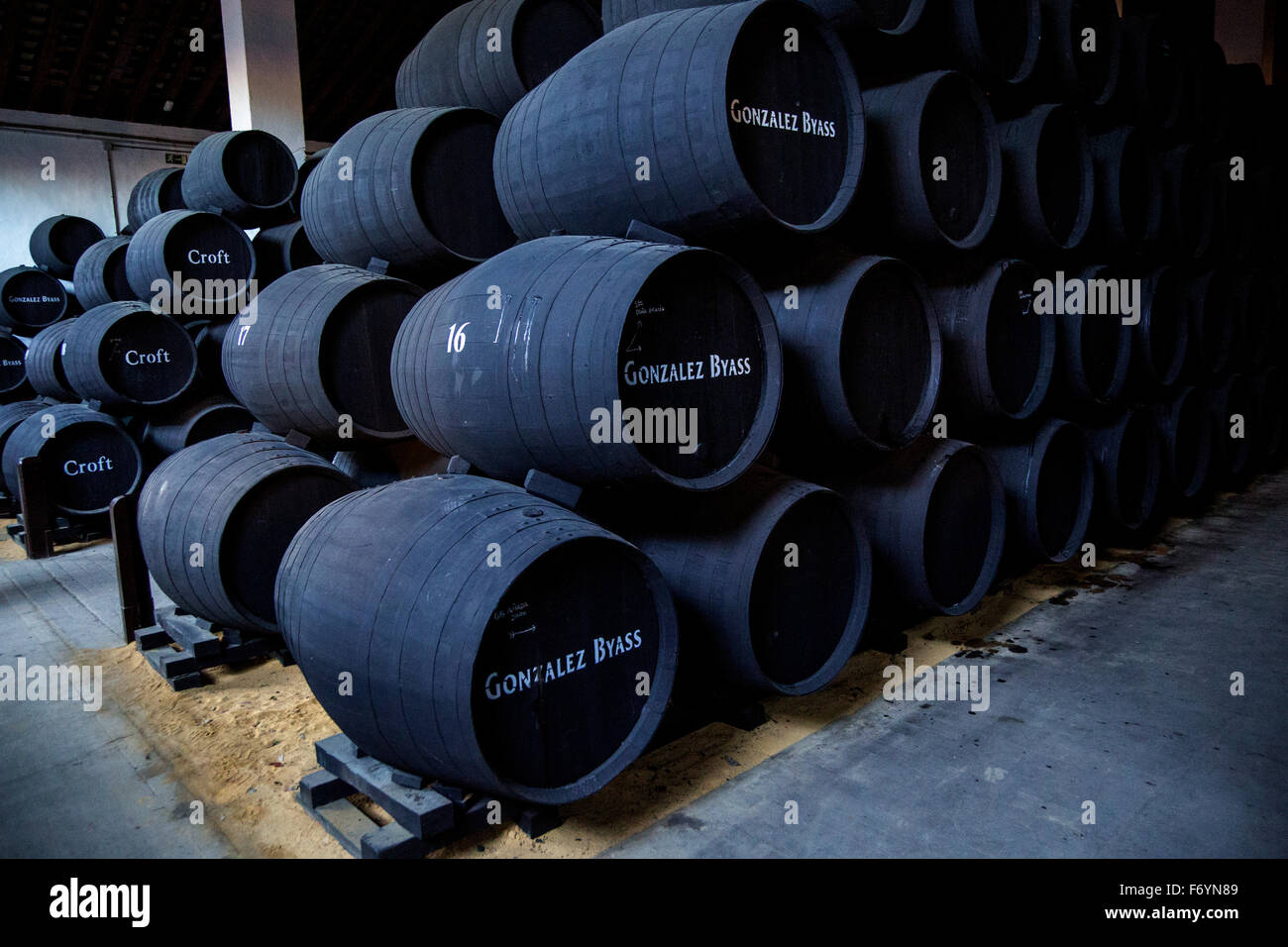Botti di rovere per la maturazione del vino di Xeres cantina, Gonzalez Byass bodega, Jerez de la Frontera, la provincia di Cadiz Cadice, Spagna Foto Stock