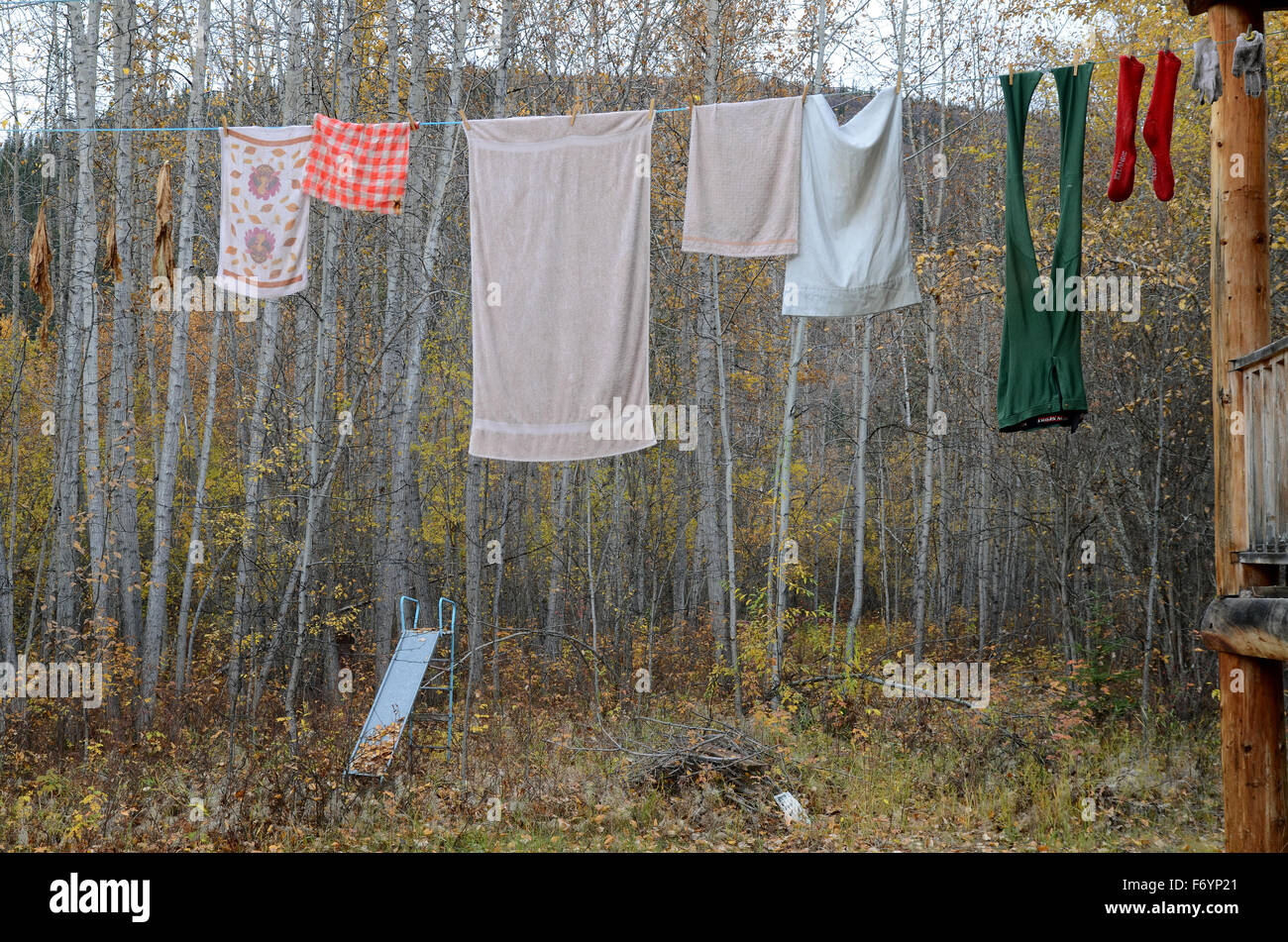 Il lavaggio appeso su una linea di abbigliamento Foto Stock