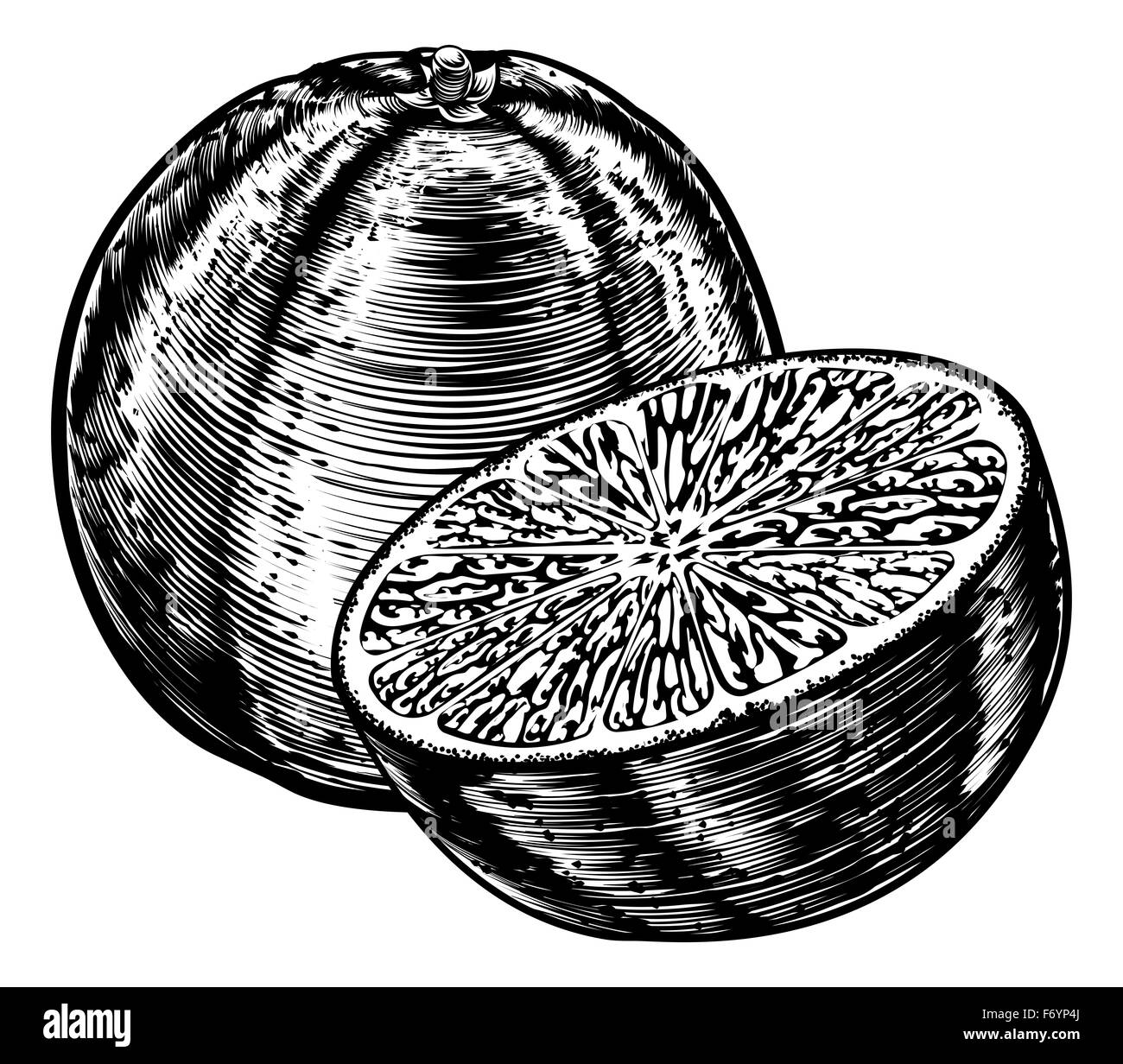 Un disegno originale di uno fette di frutta di arancia in una xilografia vintage o stile woodblock Foto Stock