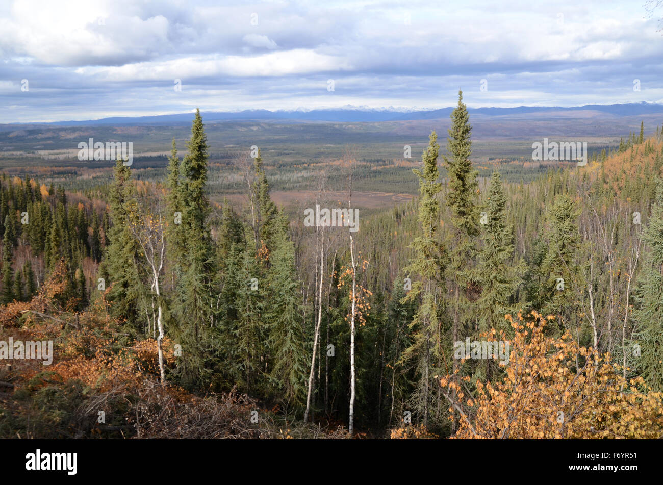 La Tintina Trench, Yukon, Canada Foto Stock