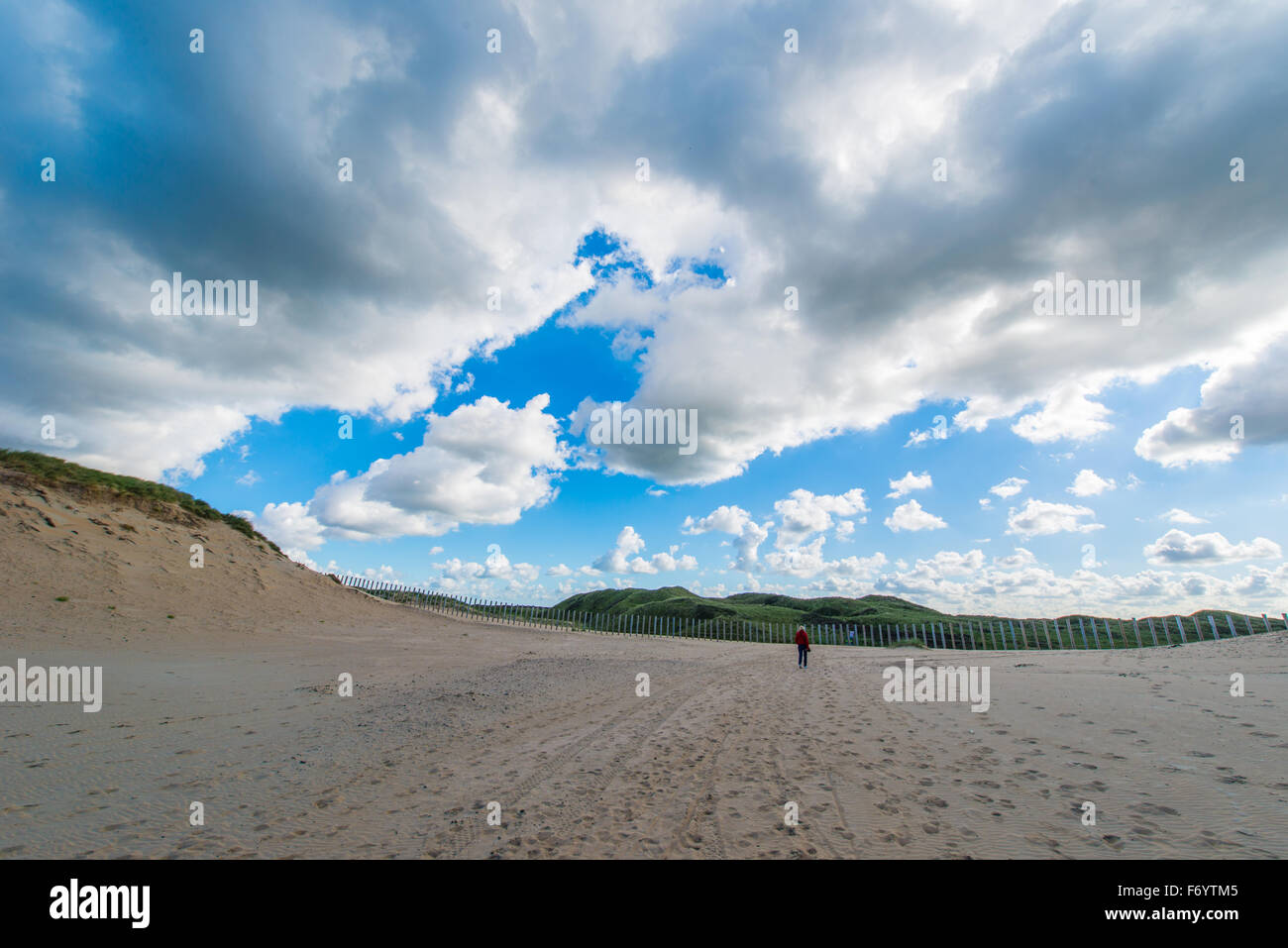 La duna la Kennemer area è la più grande area di dune nei Paesi Bassi ed è in parte utilizzato per la raccolta di acqua Foto Stock