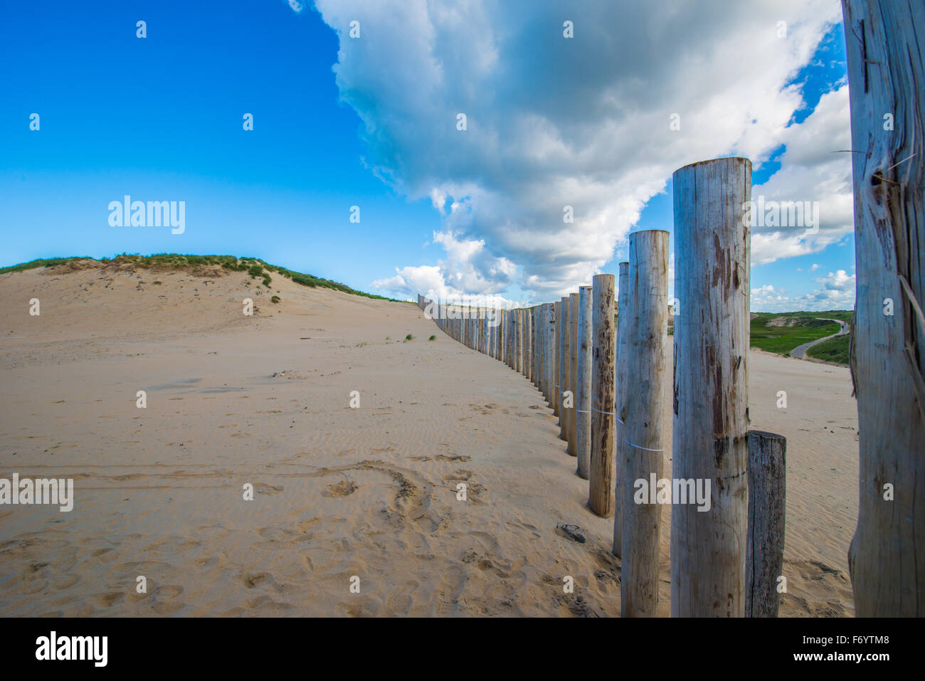 La duna la Kennemer area è la più grande area di dune nei Paesi Bassi ed è in parte utilizzato per la raccolta di acqua Foto Stock