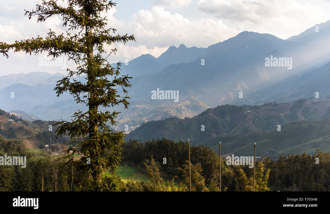 Paesaggio rurale di Sa Pa, Vietnam Foto Stock