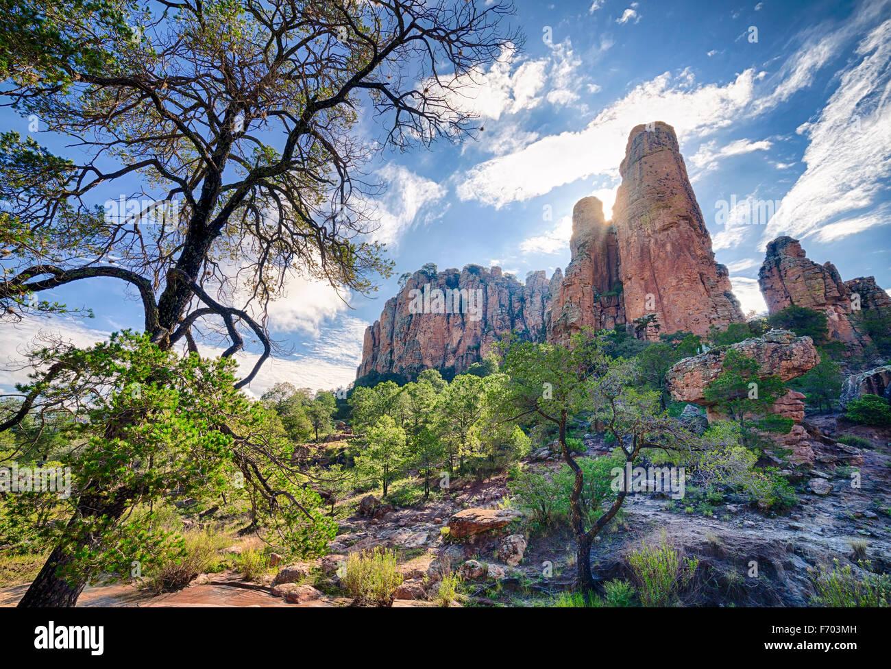 Sierra de Organos in Zacatecas, Messico. Foto Stock