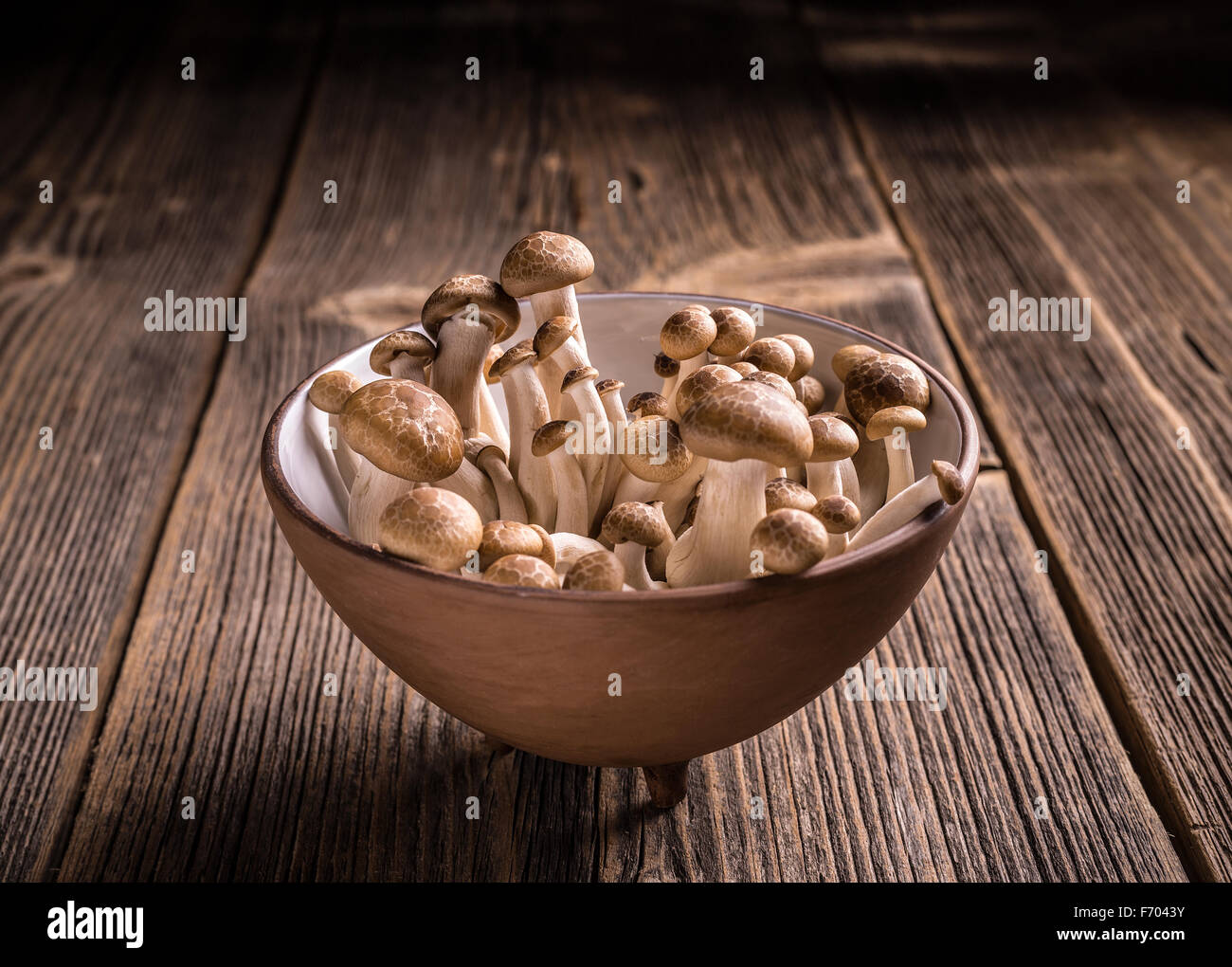 Una ciotola di funghi shimeji su sfondo di legno Foto Stock