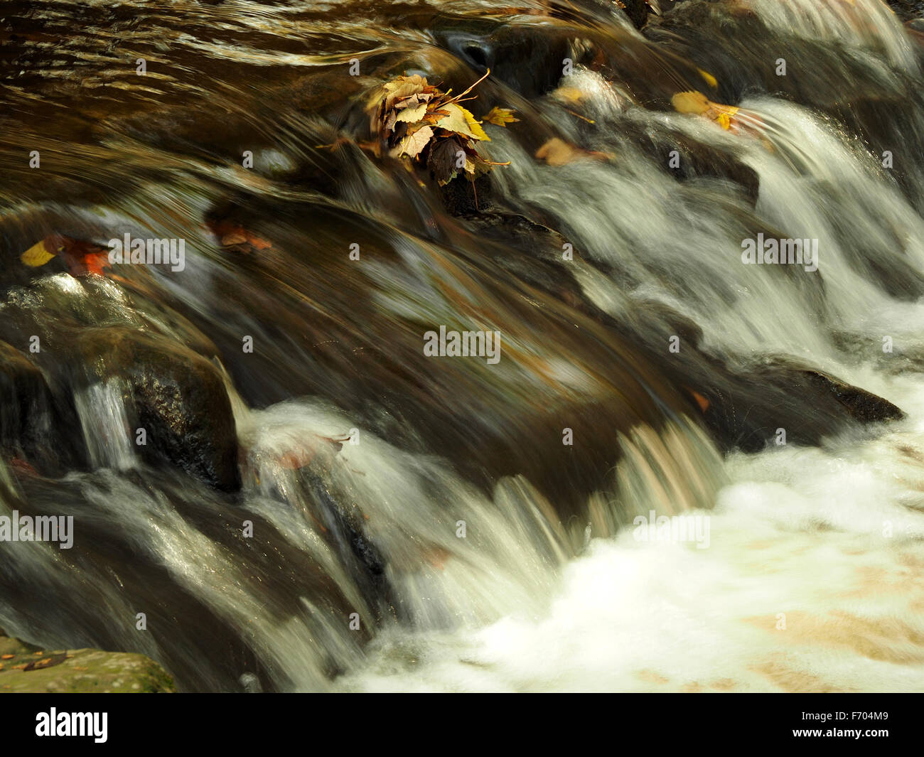 Fragore dei getti di acqua passato essiccato Foglie di autunno catturati nella parte superiore di una piccola cascata Foto Stock