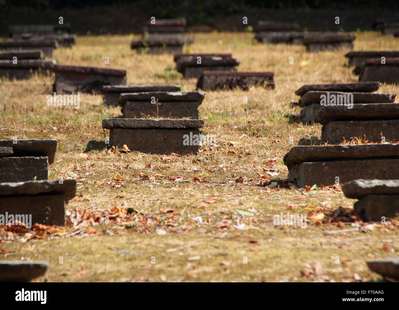 Lapidi in antico cimitero di Moravia in controluce Foto Stock