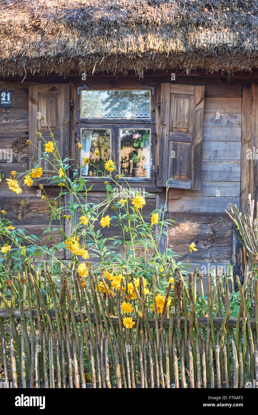 Il Museo della Campagna Mazovian in Sierpc, Polonia. Il vecchio contadino in legno casa colonica con il tetto di paglia. Foto Stock