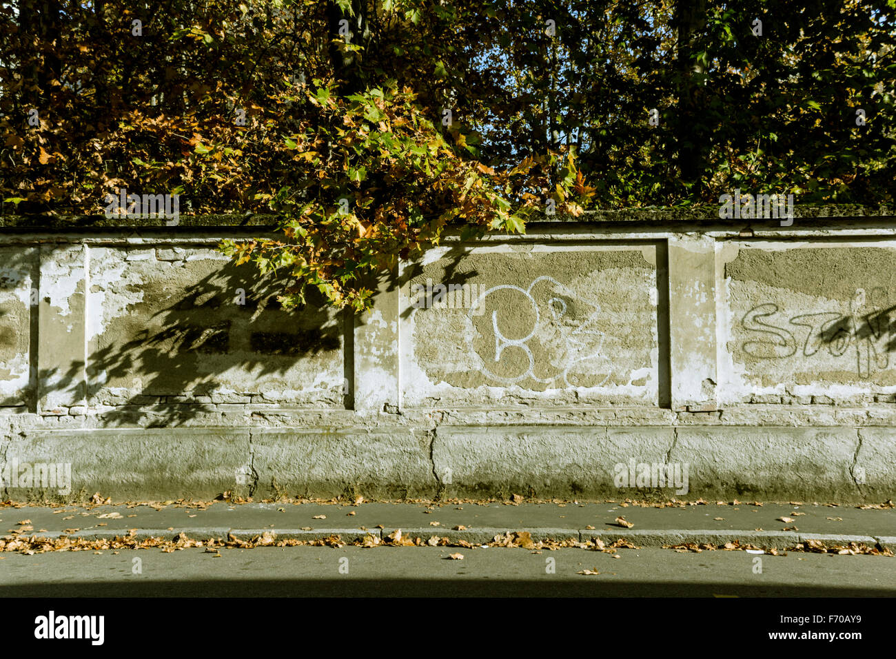 Foglie cadenti d'autunno. Vigevano. Italia Foto Stock