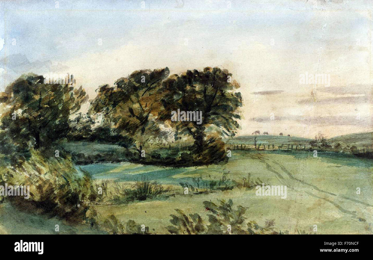 John Constable - Paesaggio, alberi e prati Foto Stock