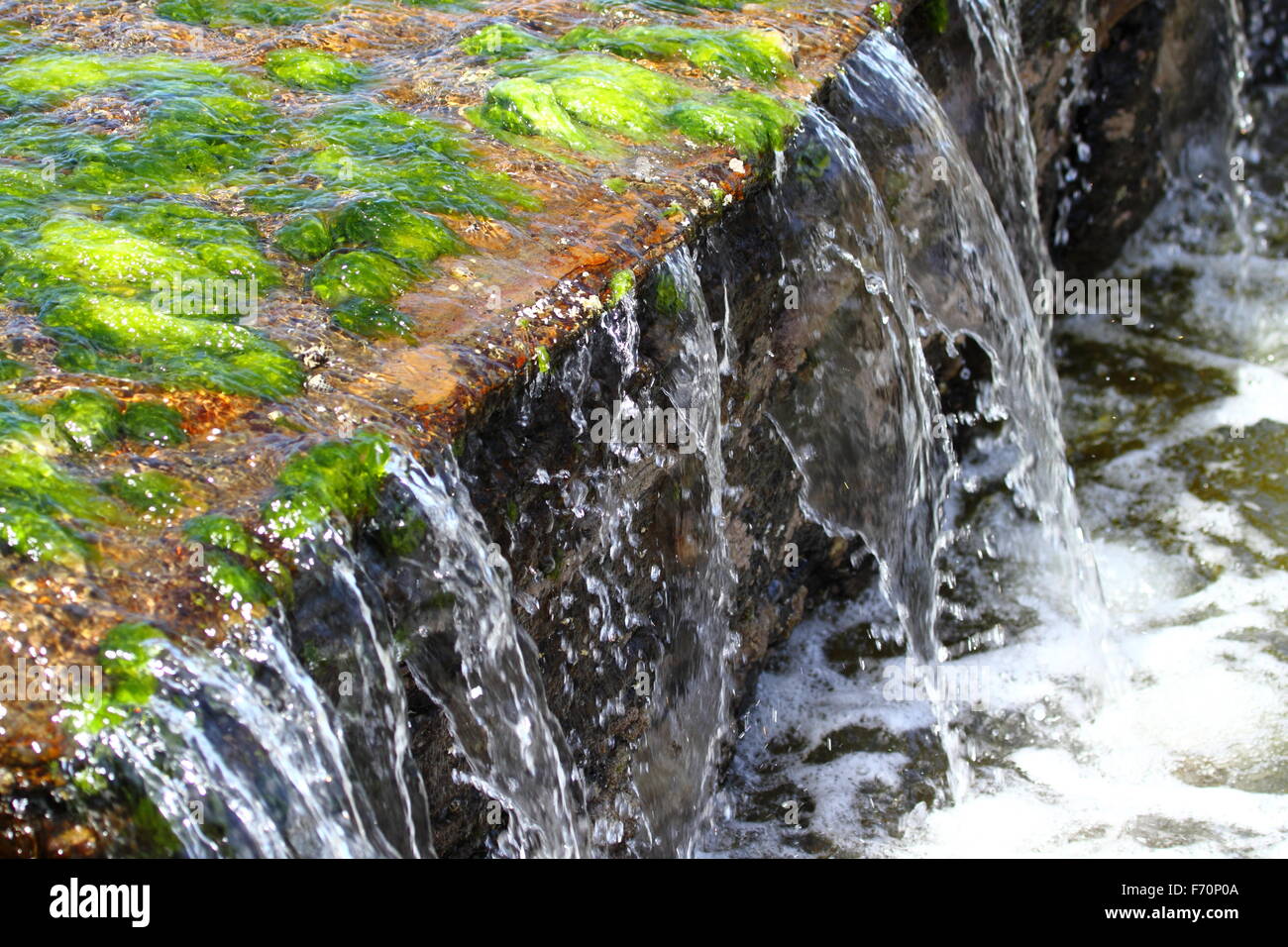 Acqua versa su alghe e una piccola sporgenza tra un ripiano di roccia a Austinmer, NSW, Australia. Foto Stock