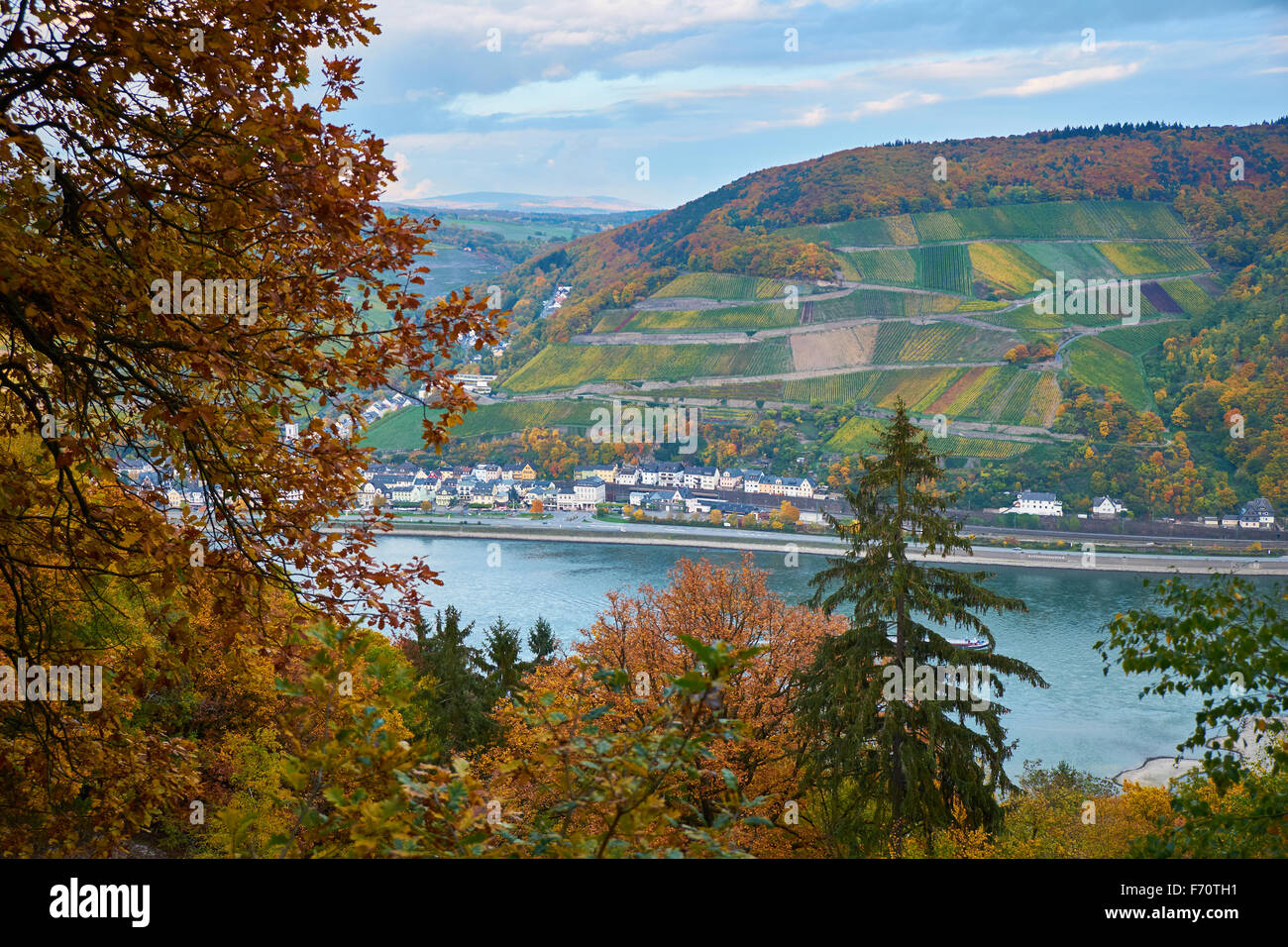 Vista di Assmannshausen vicino a Rüdesheim,Valle del Reno superiore e centrale,Patrimonio mondiale UNESCO,Germania Foto Stock