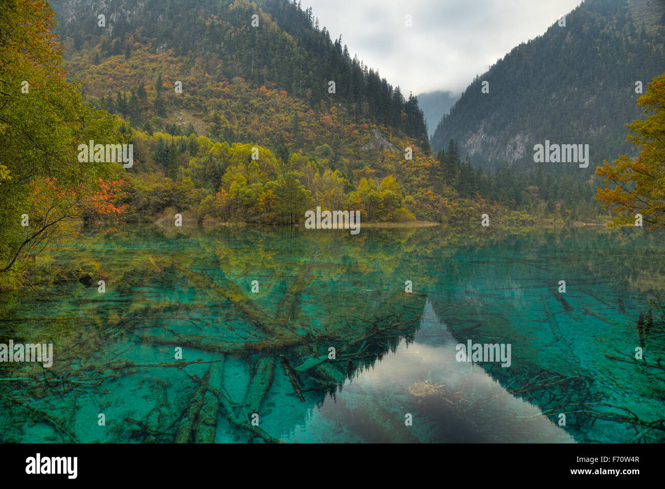 Multi-colore di Lago di Jiuzhaigou Parco Nazionale di Sichuan, in Cina la007630 Foto Stock